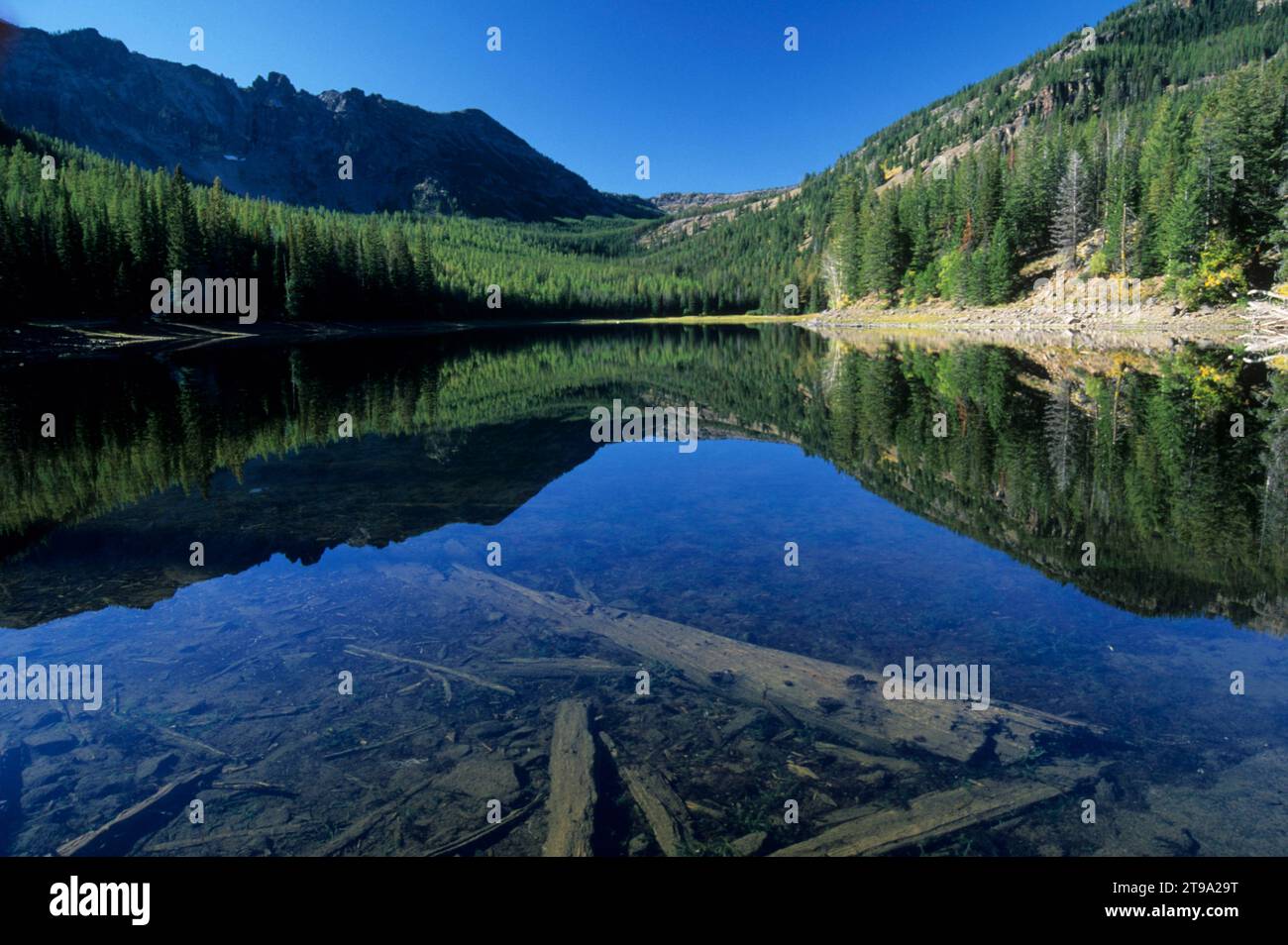 Strawberry Lake, Strawberry Mountain Wilderness, malheur National Forest, Oregon Banque D'Images