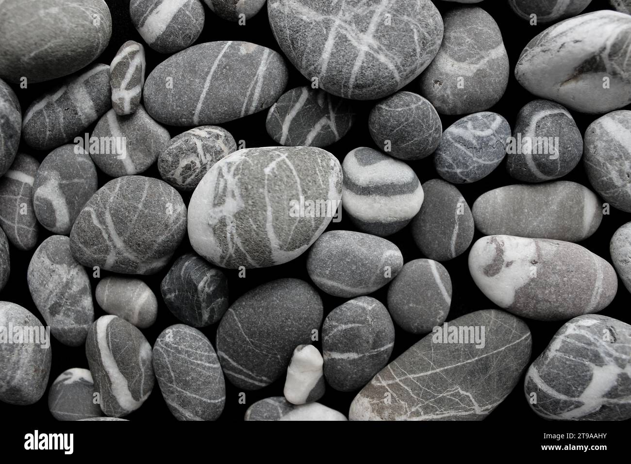 Motif de pierres de mer grises de forme différente avec des stries de quartz blanc angle vue photo stock Banque D'Images