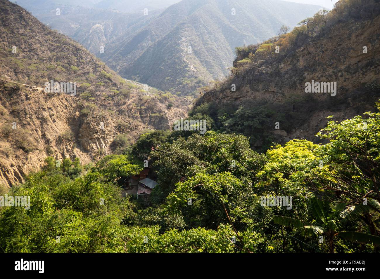 Découvrez l'enchantement d'Hidalgo, des cieux expansifs aux diverses chaînes de montagnes et communautés végétales. Plongez dans la splendeur naturelle, y compris Tol Banque D'Images