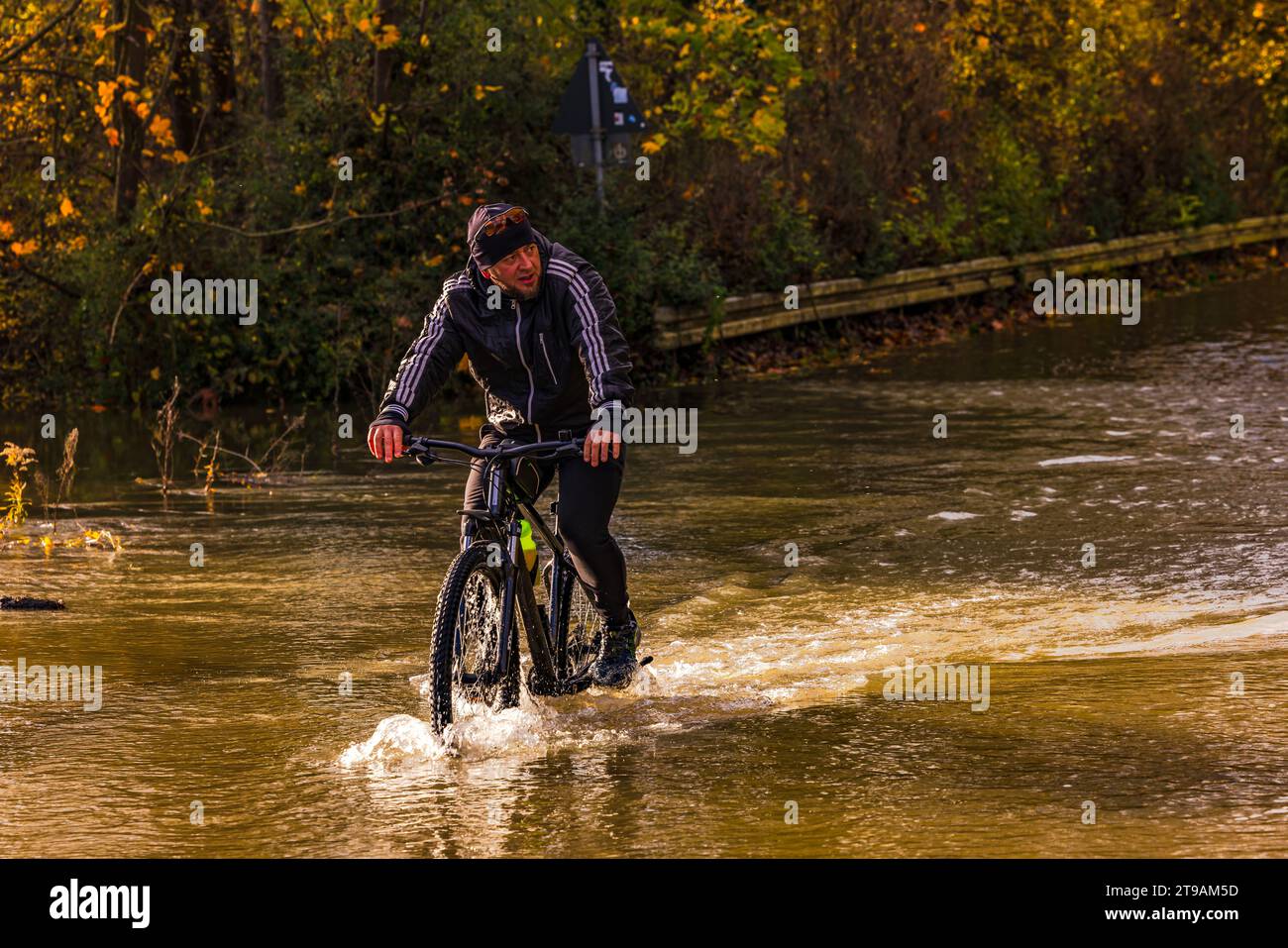 Cycliste avec VTT dans l'eau d'une route inondée pendant les hautes eaux sur le Rhin, Gernsheim, Allemagne, 19.11.2023 Banque D'Images Cycliste avec VTT dans l'eau d'une route inondée pendant les hautes eaux sur le Rhin, Gernsheim, Allemagne, 19.11.2023 Banque D'Images