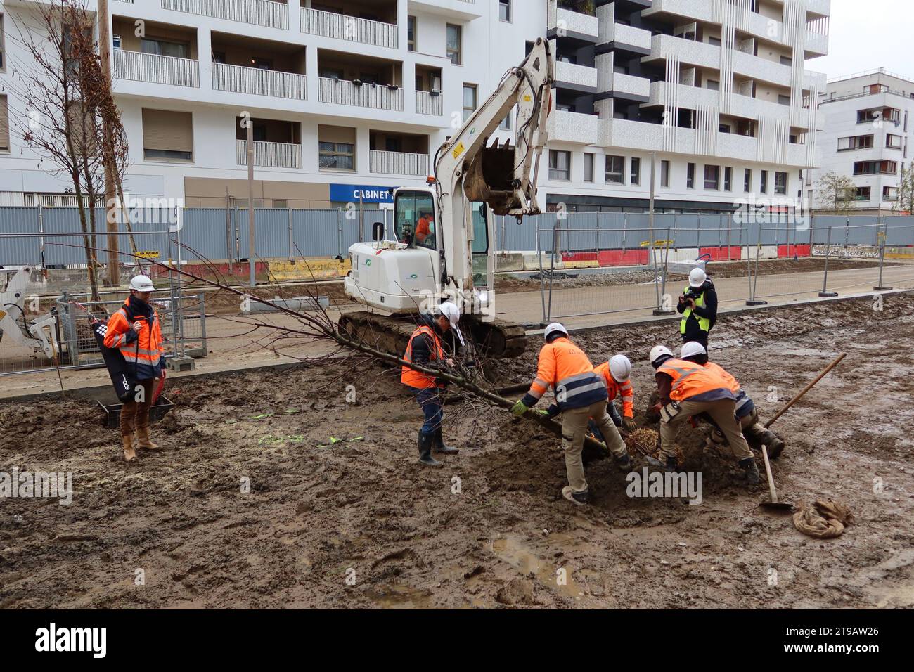 Saint Ouen, France. 23 novembre 2023. © PHOTOPQR/LE PARISIEN/Alexandre Arlot ; Saint-Ouen ; 23/11/2023 ; entre Saint-Denis et Saint-Ouen, le 23 octobre 2023. La plantation de 9 000 arbres et arbustes a commencé ce mois-ci sur le village olympique. Elle s'échelonnera jusqu'au mois de février. - Saint Ouen, France, 23 nov 2023. Jeux Olympiques de Paris la plantation de 9 000 arbres et arbustes a débuté ce mois-ci dans le village olympique. Il durera jusqu'en février. Crédit : MAXPPP/Alamy Live News Banque D'Images