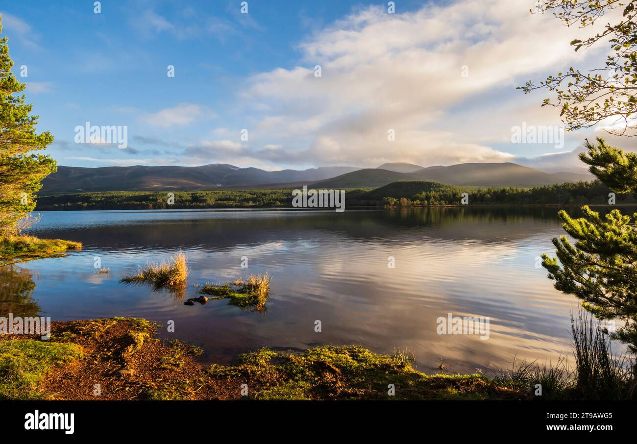 Vue de la montagne de Cairngorm depuis le Loch Morlich, parc national de Cairngorm, Écosse, octobre Banque D'Images