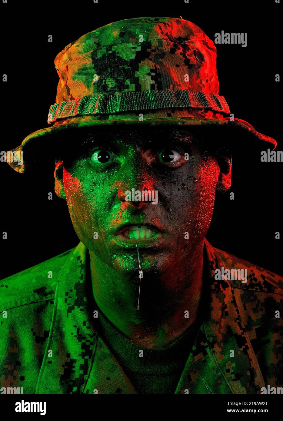 Portraits de Marines Banque D'Images