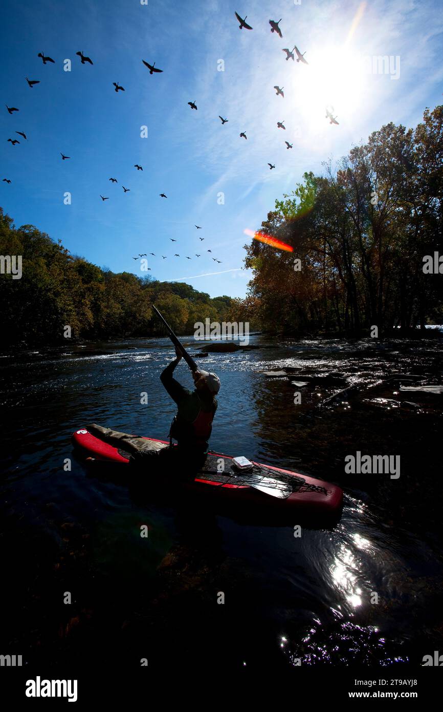 Un homme / chasseur sur un stand-up paddle board tirant des canards avec un fusil dans la lumière du matin. Banque D'Images