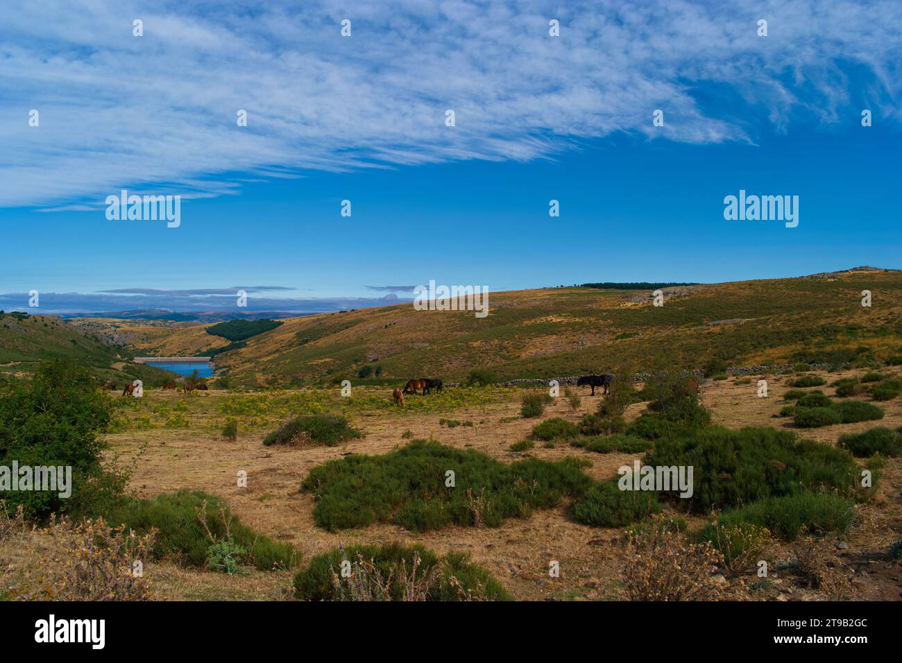 Vue sur le paysage de montagne près de Madrid dans les montagnes de Sierra de Guadarrama Banque D'Images