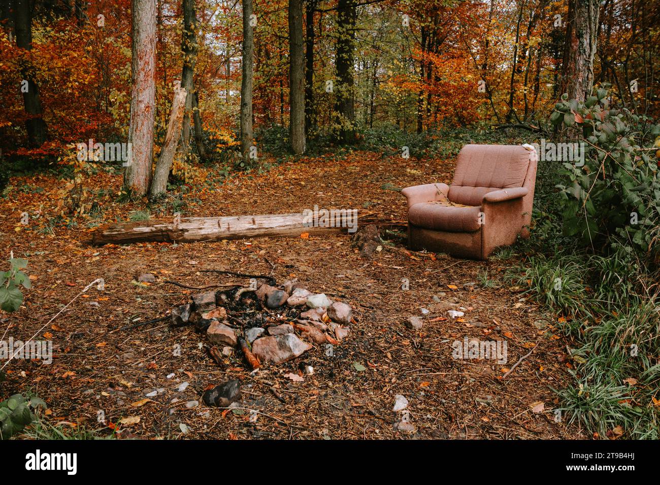 Vieux canapé en tissu brun abandonné dans une forêt. Mouche basculant, matériel déchiré et déchiré, pas de gens. Banque D'Images