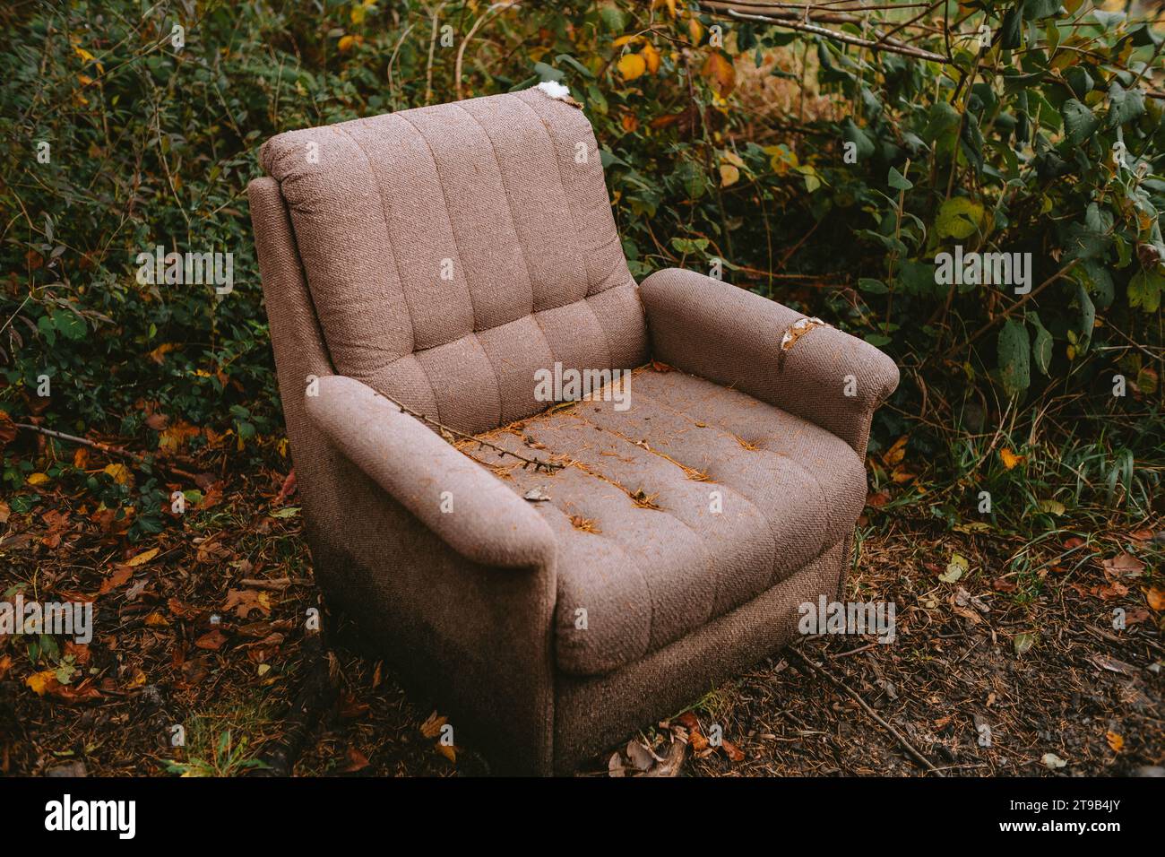 Vieux canapé en tissu brun abandonné dans une forêt. Mouche basculant, matériel déchiré et déchiré, pas de gens. Banque D'Images