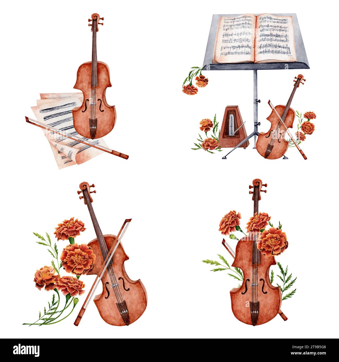 Violon, instrument à cordes, métronome, pupitre à musique, partition, fleurs de marigold. Collection de compositions dessinées à la main de musique classique. Eau Banque D'Images