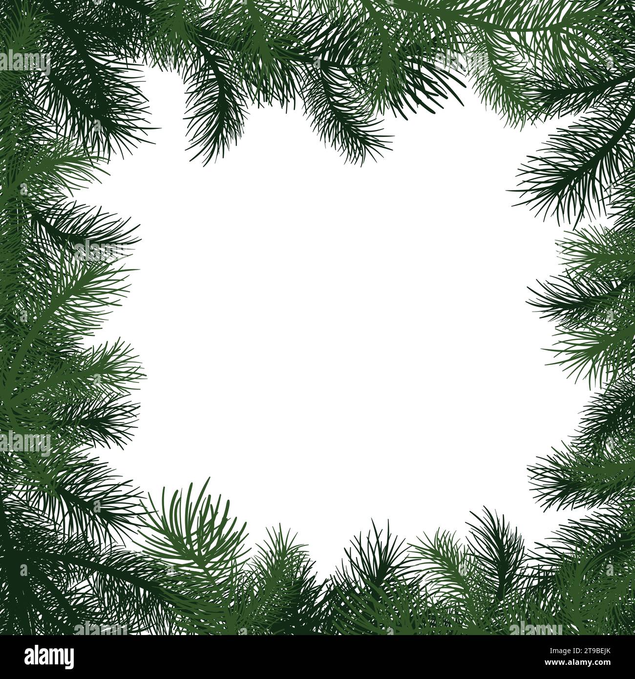 Carte de joyeux noël avec texte et cadre carré d'arbre de noël, illustration vectorielle. Branches de sapin réalistes, esquisse isolée sur blanc. Noël Illustration de Vecteur