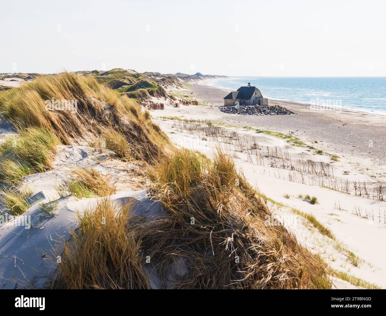Herbe sur les dunes de sable et maison sur la plage Banque D'Images