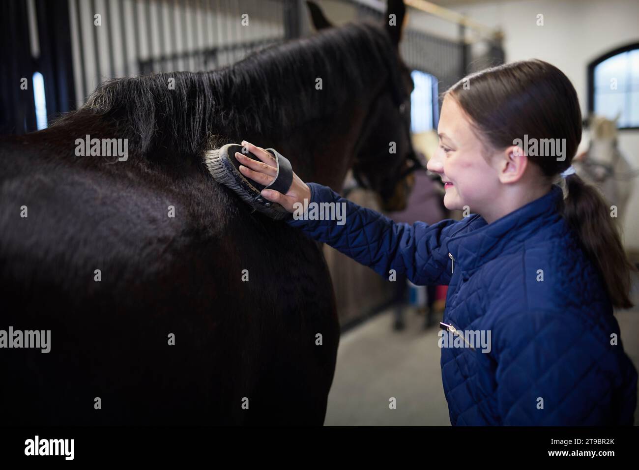 Fille toilettant cheval après avoir monté dans l'écurie Banque D'Images
