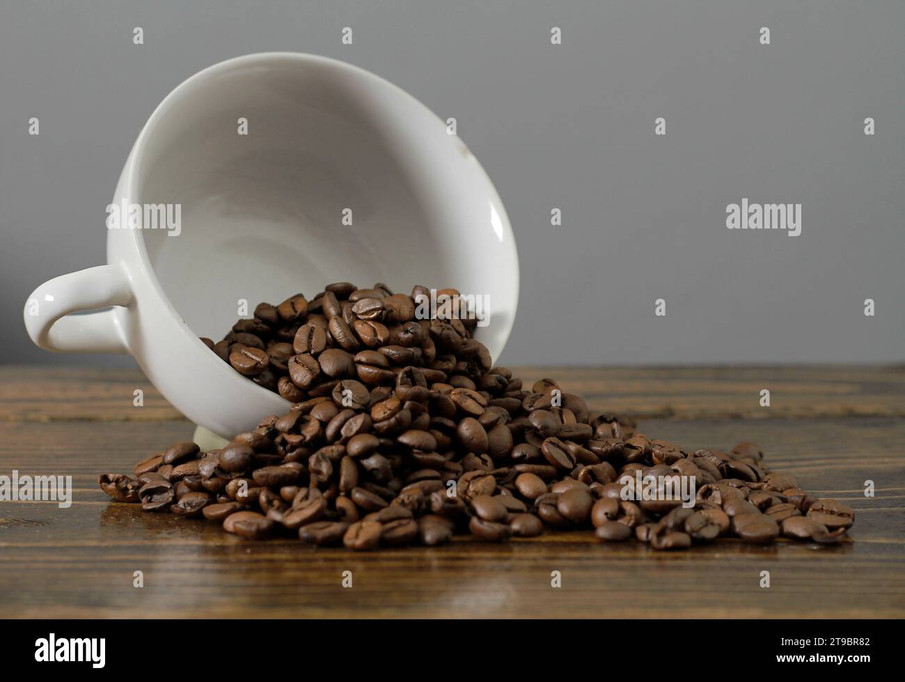 café torréfié fait à partir de grains de café sur l'écran pas de personnes stock image photo Banque D'Images
