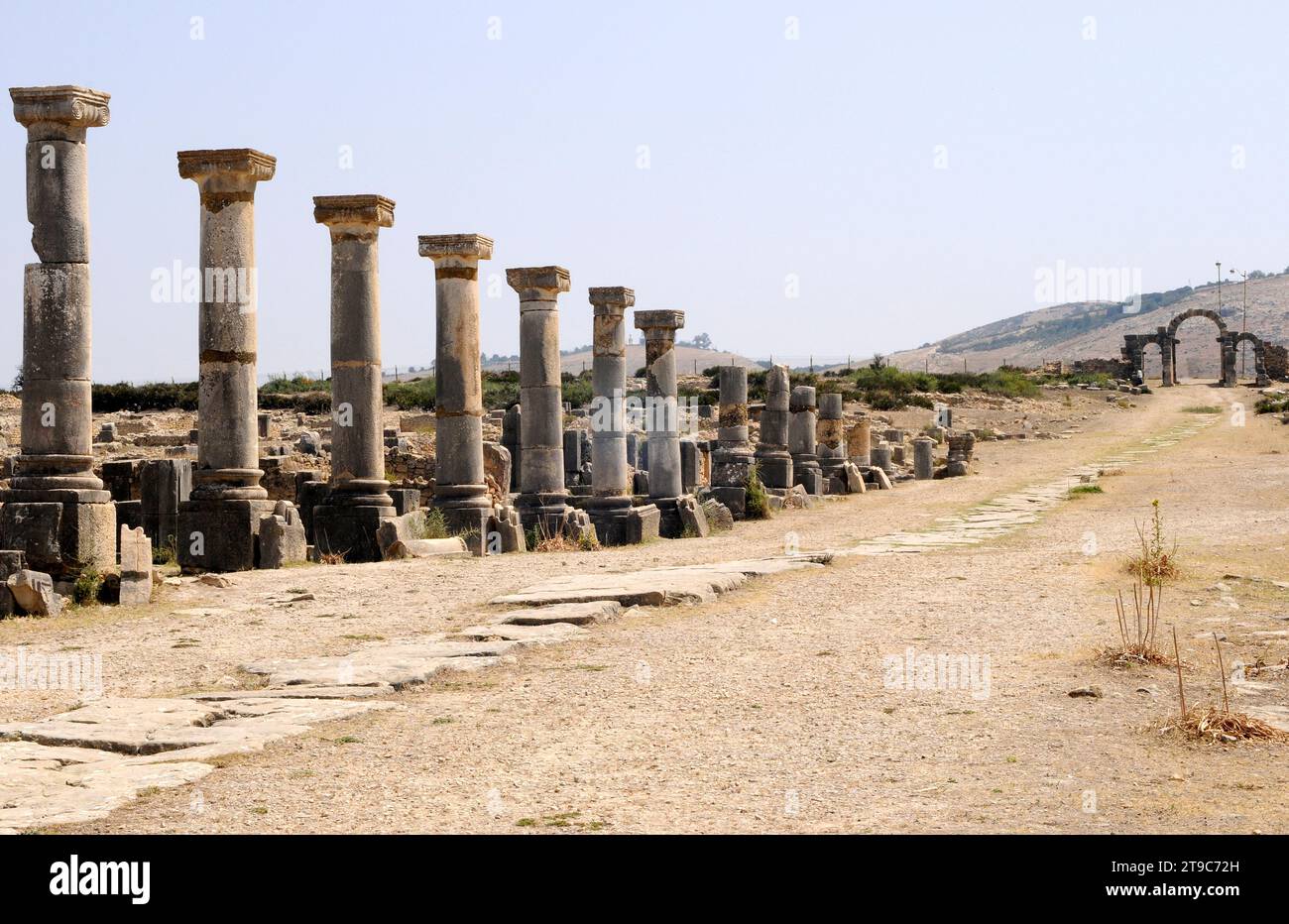 Volubilis, ville berbère et romaine (du 3e siècle avant JC au 11e siècle après JC), site du patrimoine mondial. Decumanus Maximus avec colonnes et porte Tingis à bott Banque D'Images