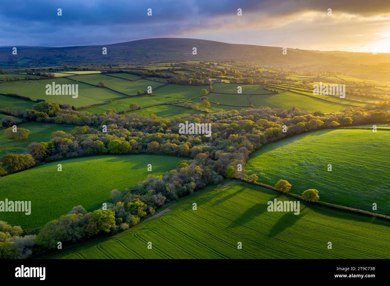 Photo aérienne de campagne vallonnée dans la lumière du soir, Livaton, Devon, Angleterre. Printemps (avril) 2019. Banque D'Images