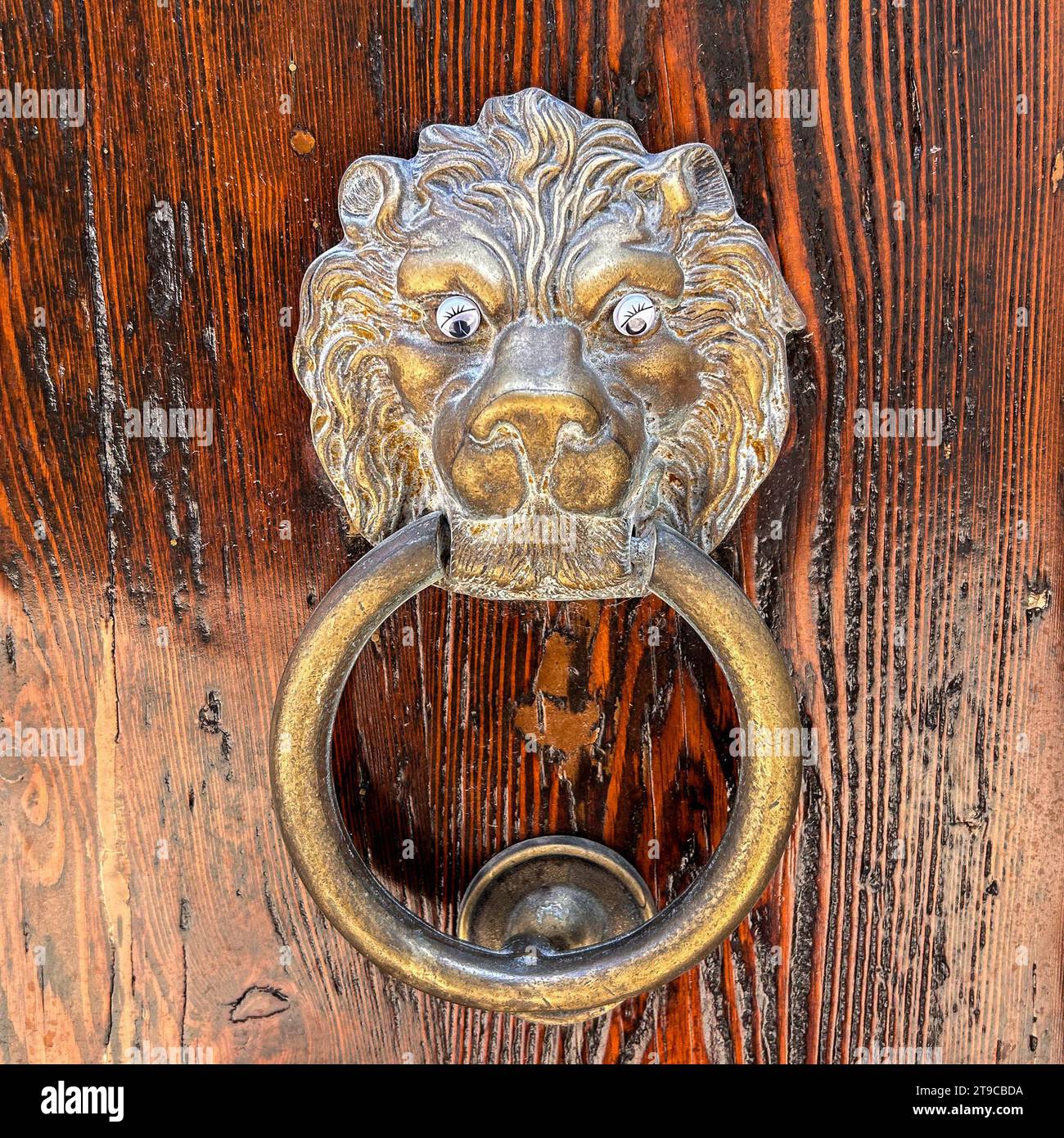 Entrée du gardien : un majestueux heurtoir de porte en forme de lion, symbole de force et de protection, invite une entrée puissante à chaque frappe autoritaire. Banque D'Images