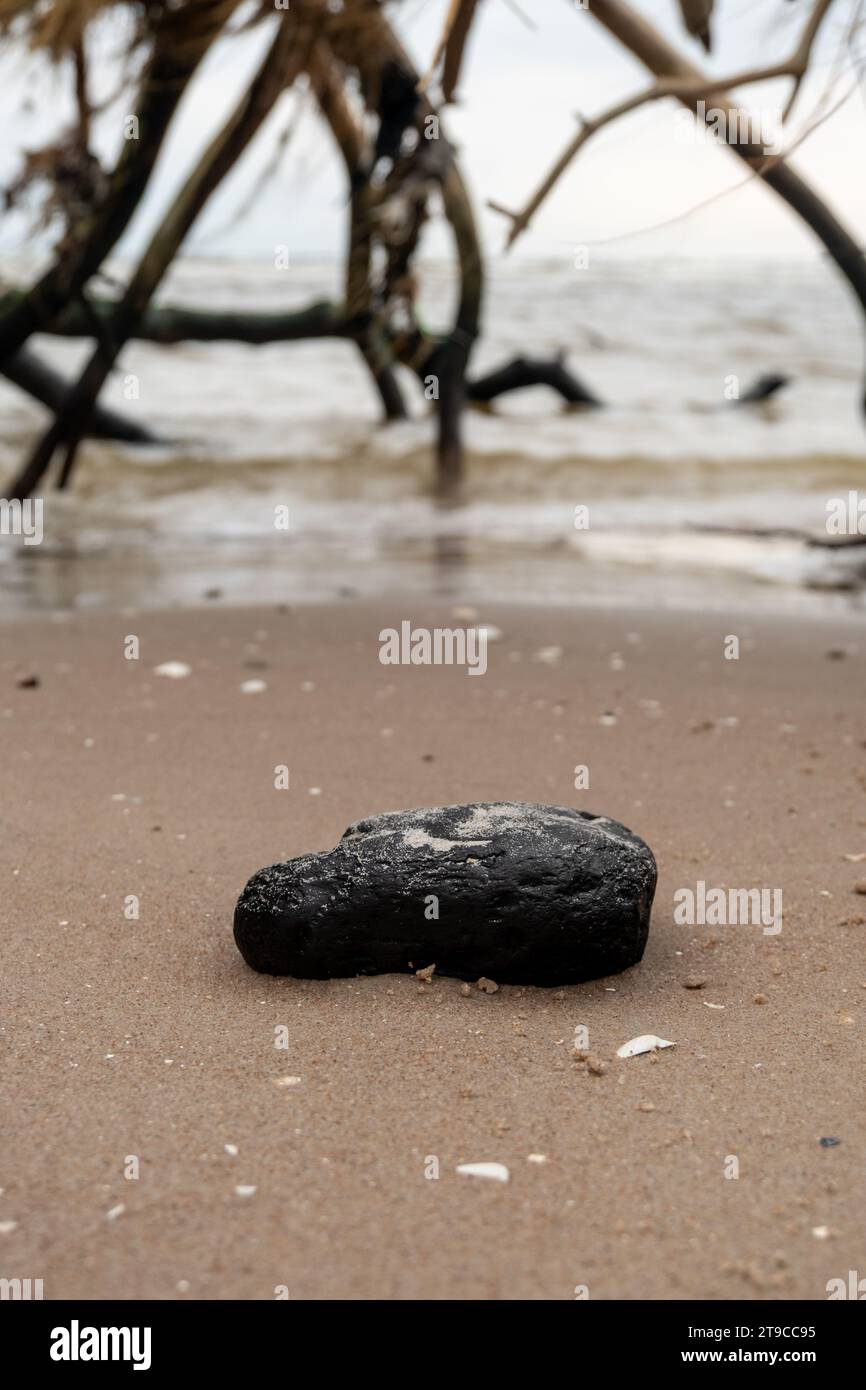 Un instantané de contrastes : la mer sereine, les sables embrassés par le soleil, un rocher noir solitaire, et l'étreinte douce d'un arbre tombé, la poésie de la nature dans un cadre. Banque D'Images