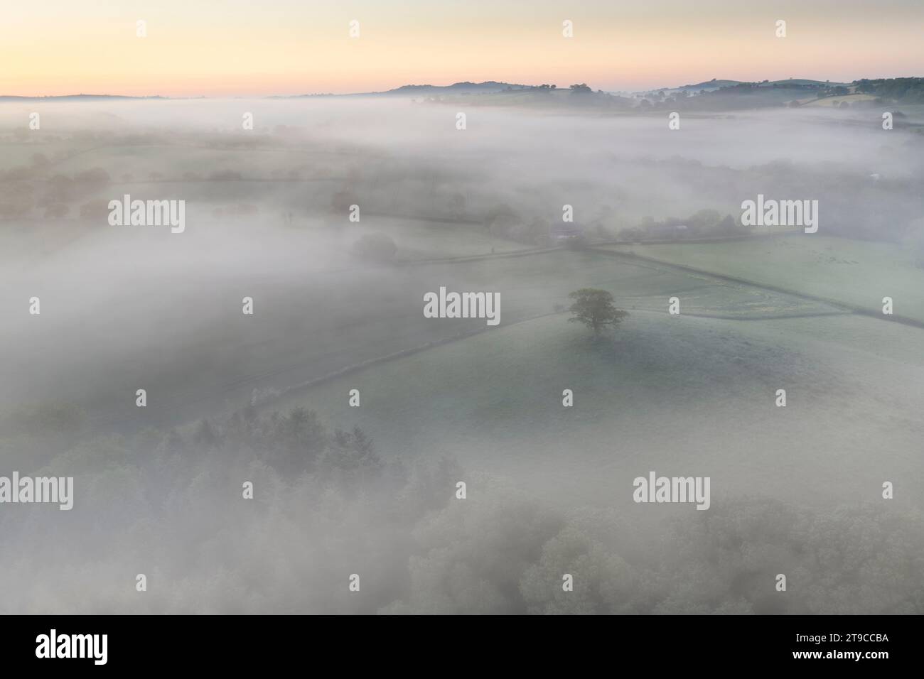 La brume enveloppait la campagne à l'aube, Devon, Angleterre. Été (juin) 2021. Banque D'Images