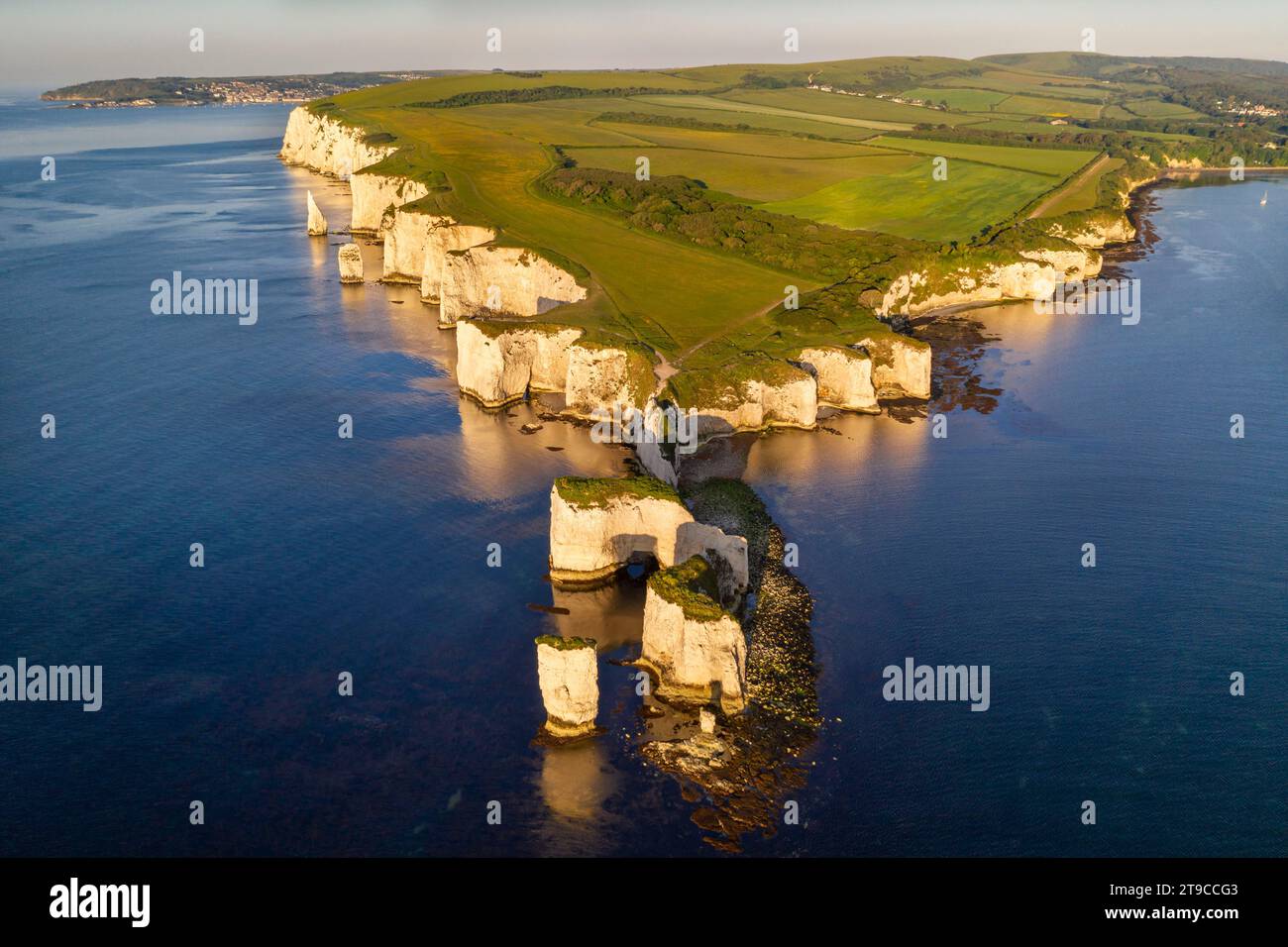 Vue aérienne de Old Harry Rocks sur le site du patrimoine mondial de la côte jurassique, Studland, Dorset, Angleterre. Été (juin) 2021. Banque D'Images