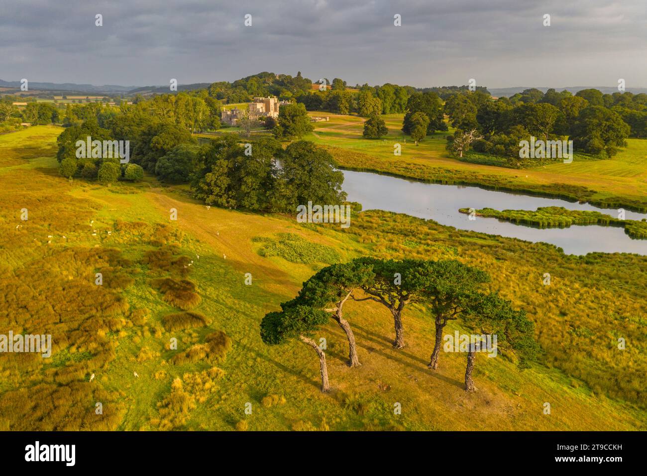 Château et domaine de Powderham, Devon, Angleterre. Automne (septembre) 2021. Banque D'Images