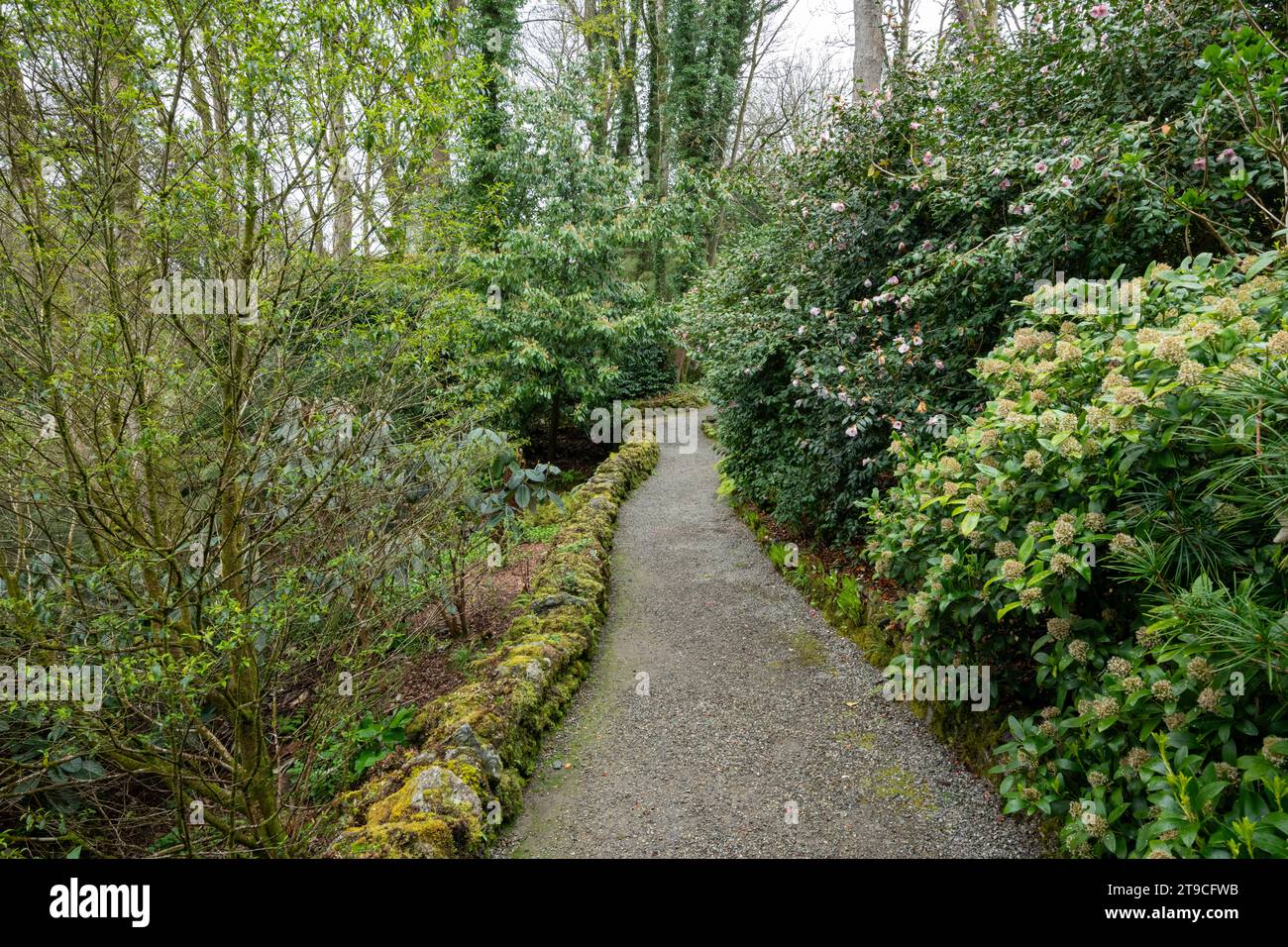 PLAS Cadnant Hidden Gardens, Menai Bridge, Anglesey, pays de Galles du Nord. Banque D'Images