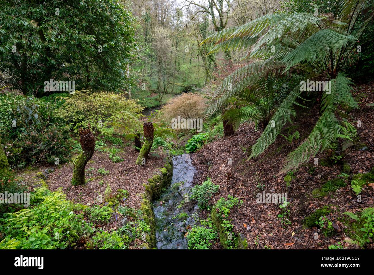PLAS Cadnant Hidden Gardens, Menai Bridge, Anglesey, pays de Galles du Nord. Banque D'Images
