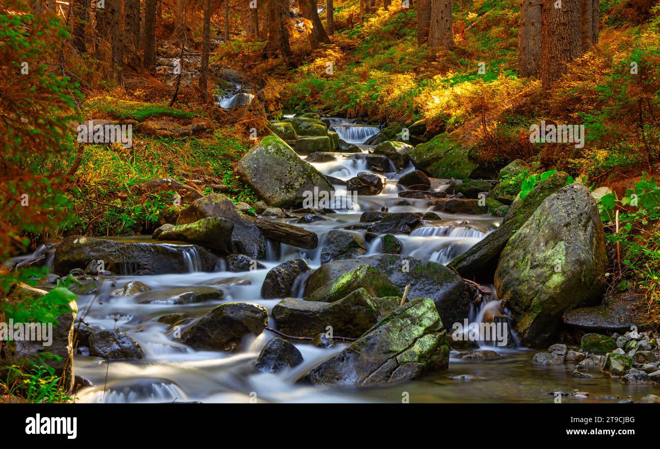 Mosaïque de montagne : la cascade d'automne traverse la Tapisserie de la nature Banque D'Images