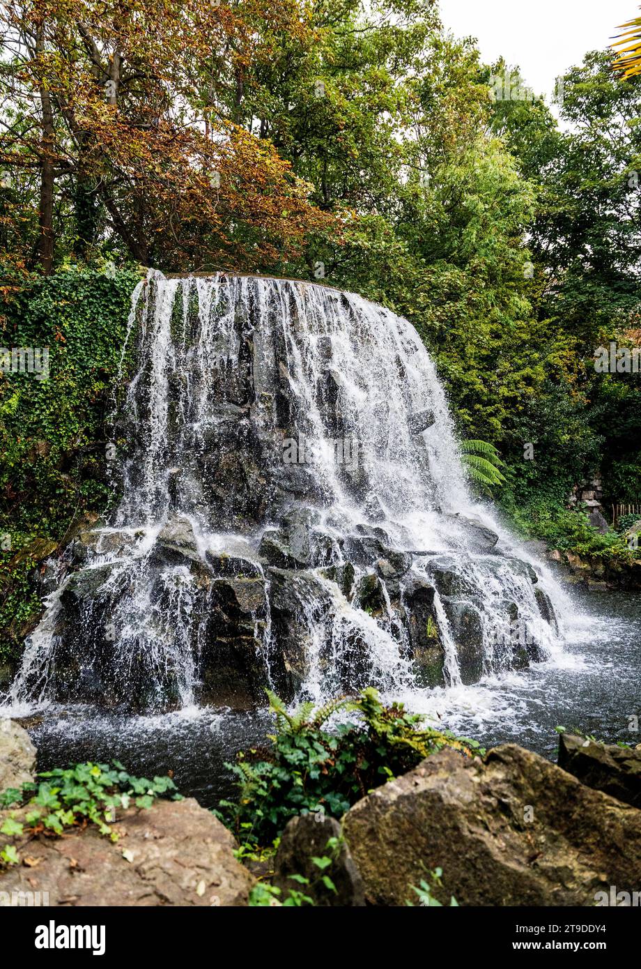 La cascade d'Iveagh Gardens conçue au milieu du 19e siècle par Ninian Niven, Dublin, Irlande Banque D'Images