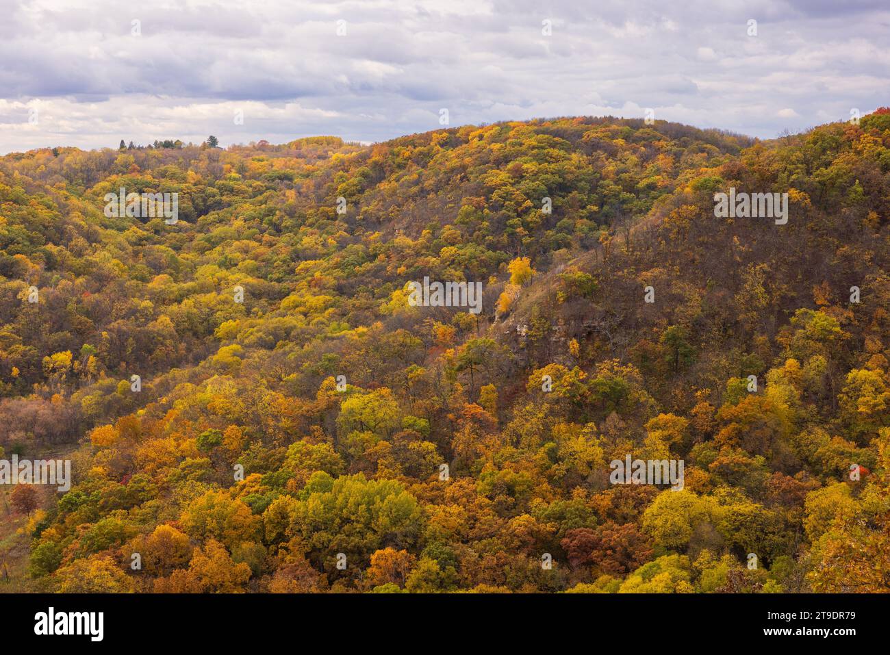 Paysage pittoresque de Fall Color Hills Banque D'Images