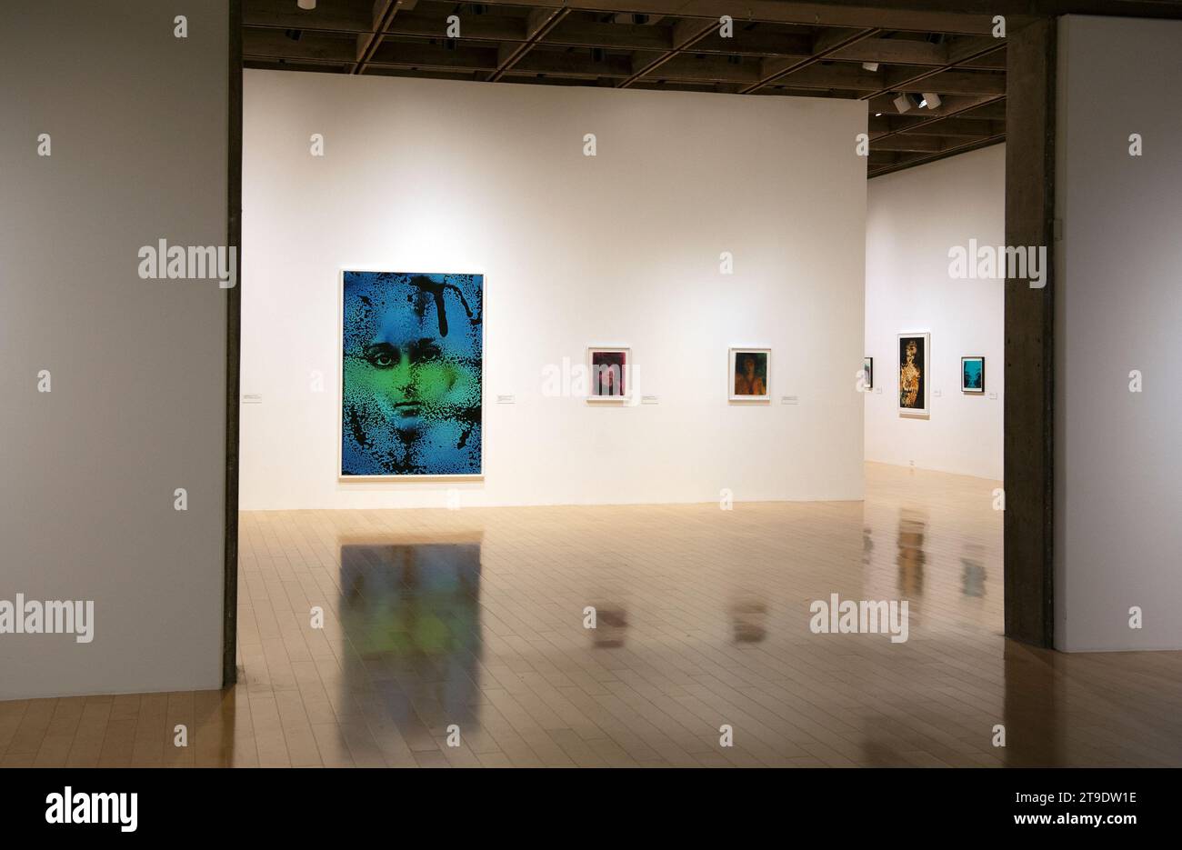 Kali. Artographe, art, exposition, Palm Springs, Art, Musée, Californie, États-Unis Banque D'Images