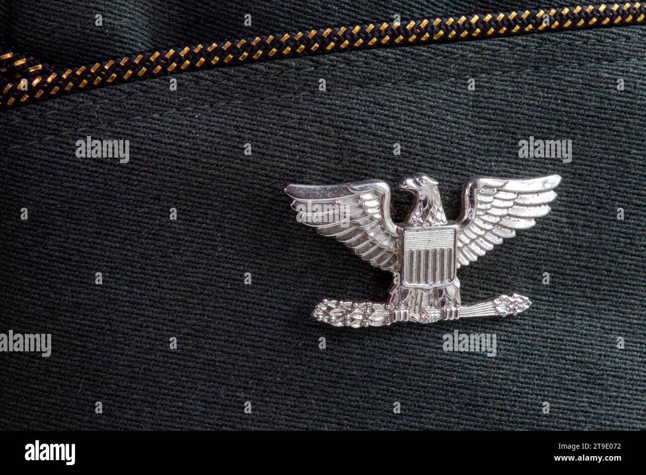 Gros plan de l'aigle argenté, insigne du colonel sur une casquette d'outre-mer vintage de l'armée américaine, États-Unis Banque D'Images