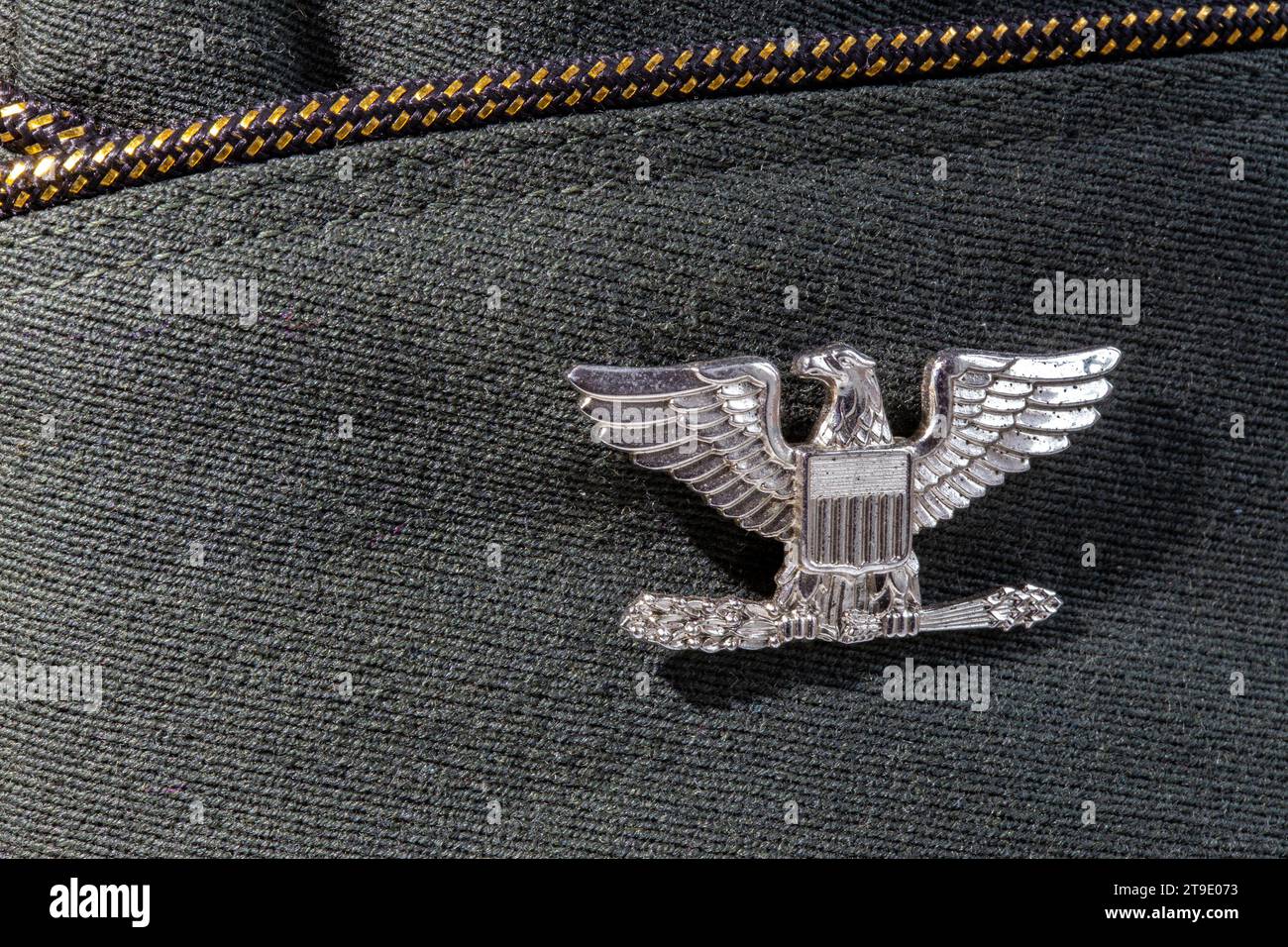 Gros plan de l'aigle argenté, insigne du colonel sur une casquette d'outre-mer vintage de l'armée américaine, États-Unis Banque D'Images