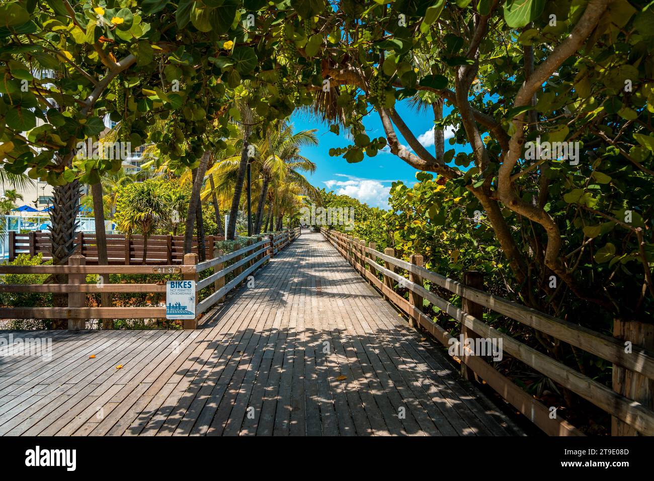 Miami Beach, Floride, États-Unis - promenade à Mid Beach Banque D'Images
