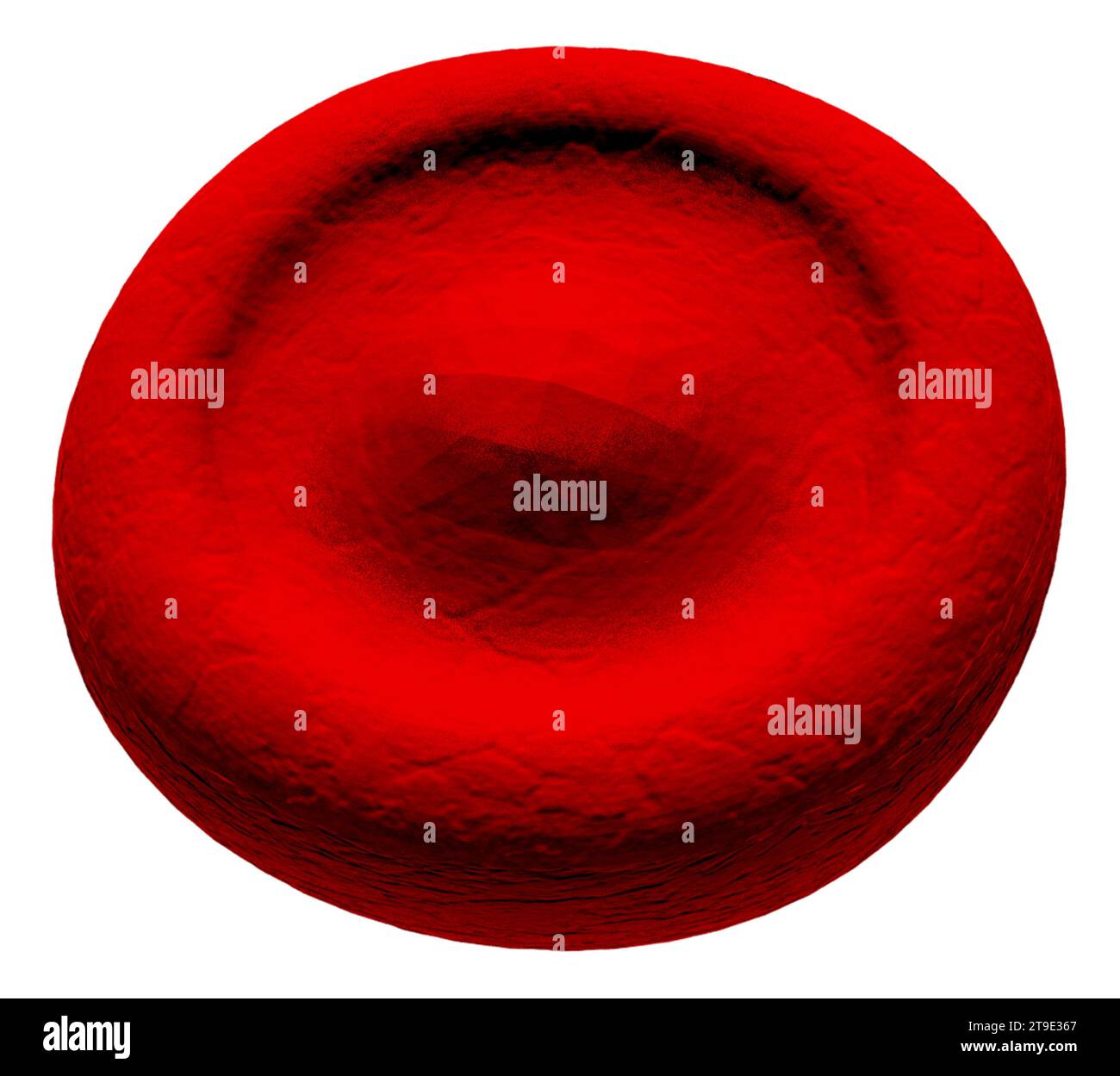 Globule rouge anormal de la cellule cible, illustration Banque D'Images