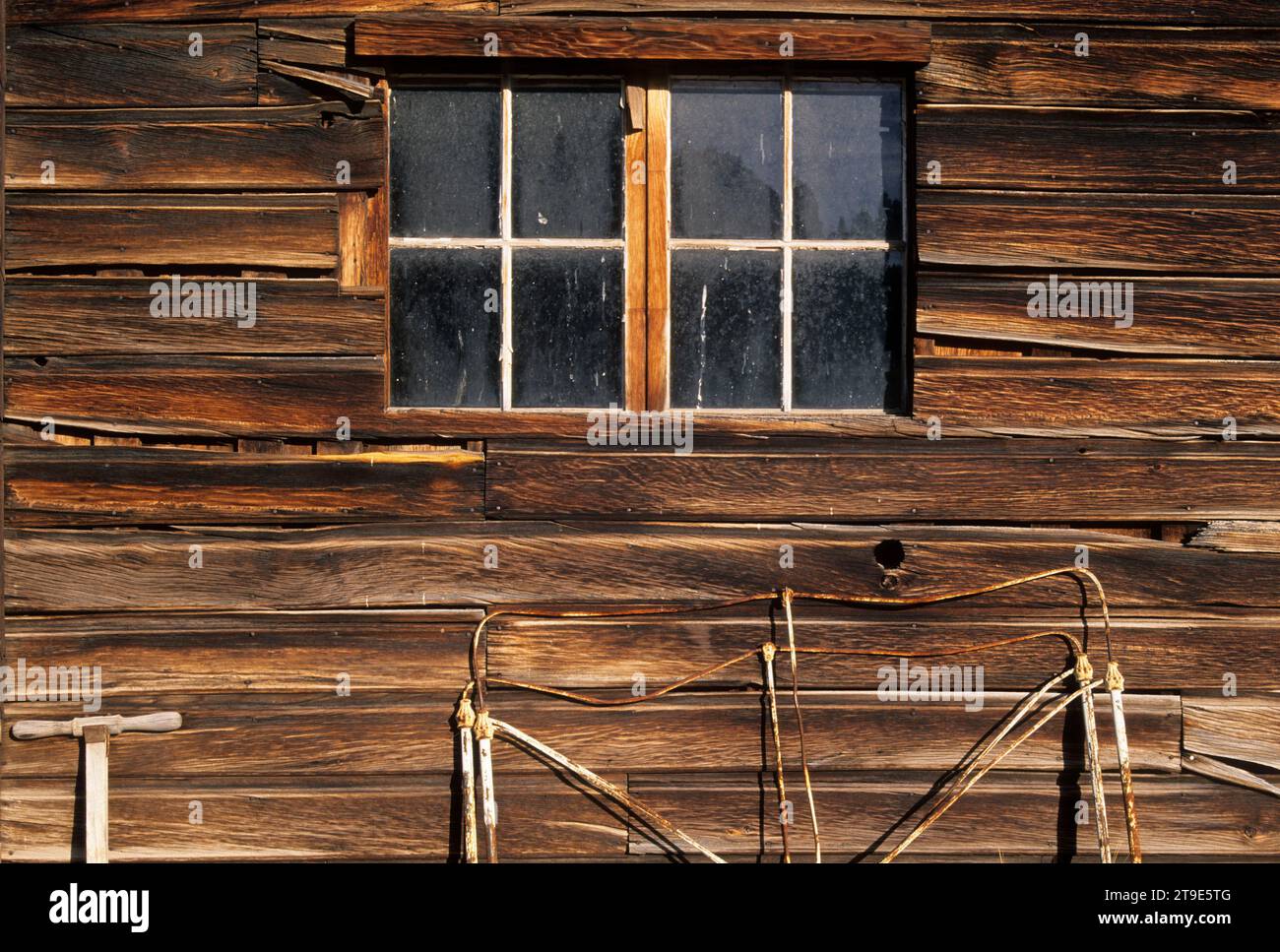 Fenêtre de Bunkhouse, quartier historique national de Riddle Ranch, zone de loisirs de Steens Mountain, Oregon Banque D'Images