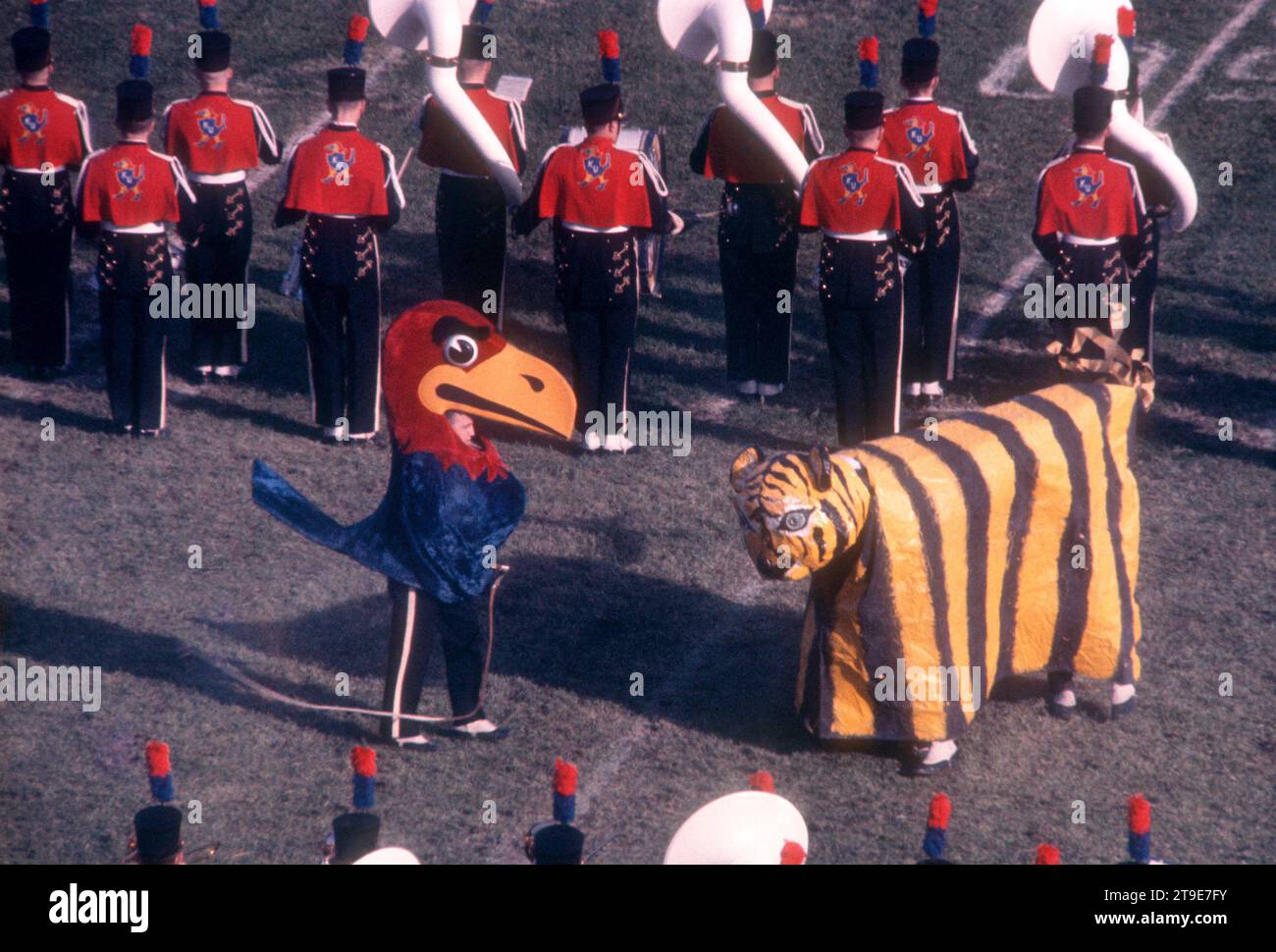 LAWRENCE, KS - NOVEMBRE 25 : vue générale des mascottes des Jayhawks du Kansas et des Tigers du Missouri lors d'un match de la NCAA le 25 novembre 1961 au Memorial Stadium de Lawrence, Kansas. (Photo de Hy Peskin) Banque D'Images