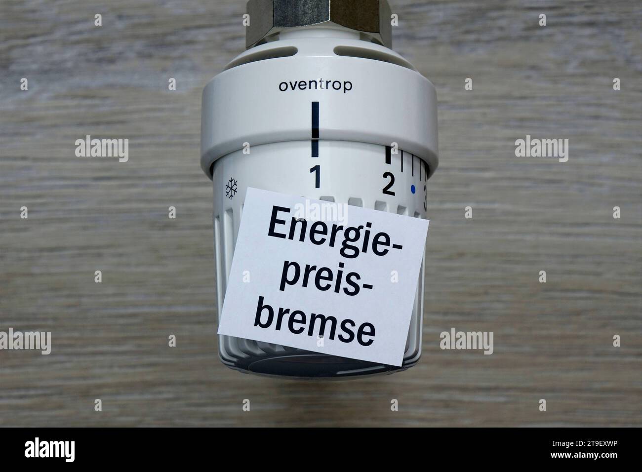 Thermostat und Energiepreisbremse thermostat und Energiepreisbremse, 25.11.2023, Borkwalde, Brandenburg, Auf einem thermostat liegt der Schriftzug Energiepreisbremse. *** Thermostat et frein de prix d'énergie thermostat et frein de prix d'énergie, 25 11 2023, Borkwalde, Brandebourg, sur un thermostat est le frein de prix d'énergie de lettrage Banque D'Images