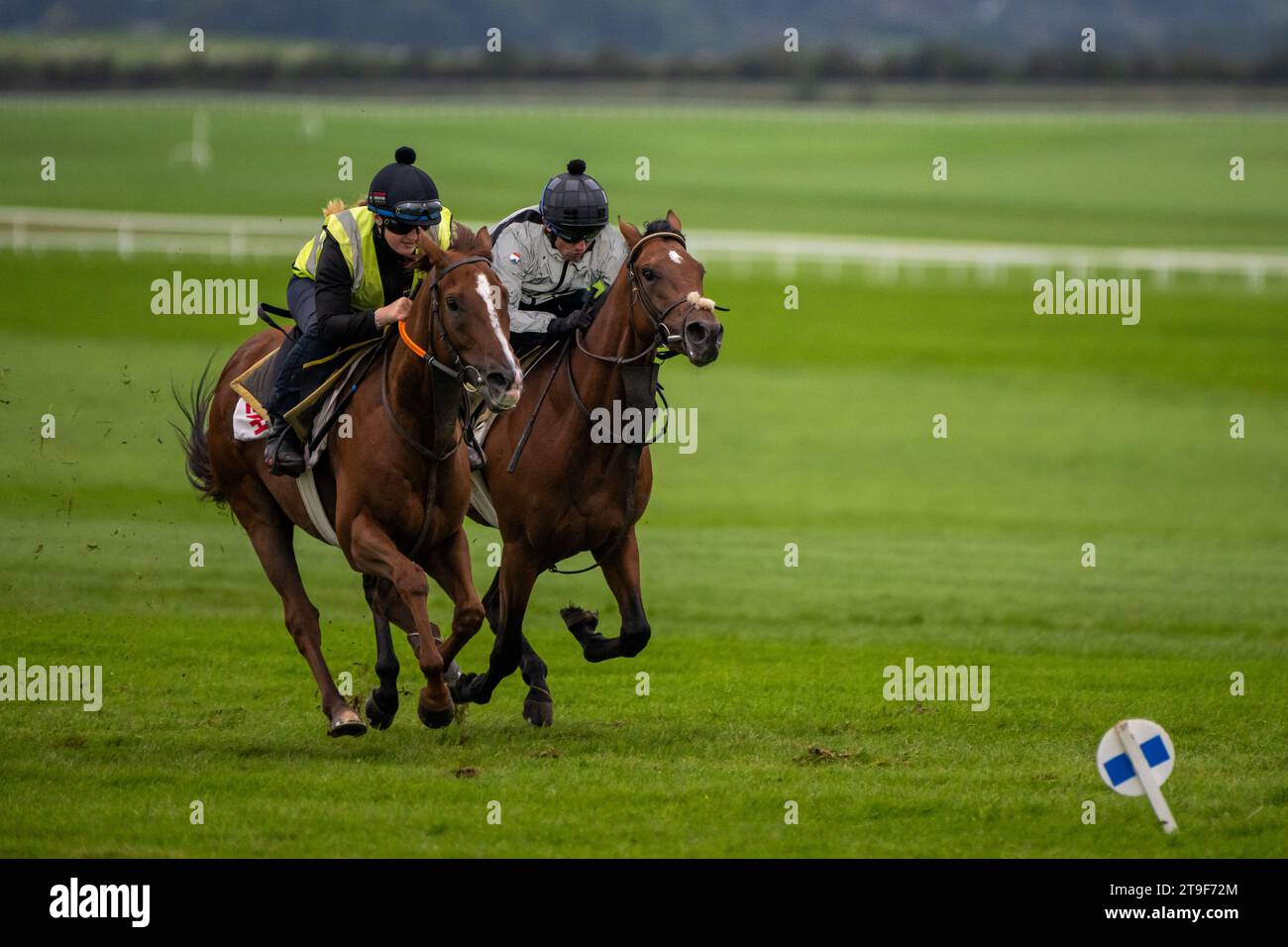 Bermingham Cameras a sponsorisé les chevaux Harty Racing qui s'entraînent au galop de Curragh, Co. Kildare, Irlande. Banque D'Images