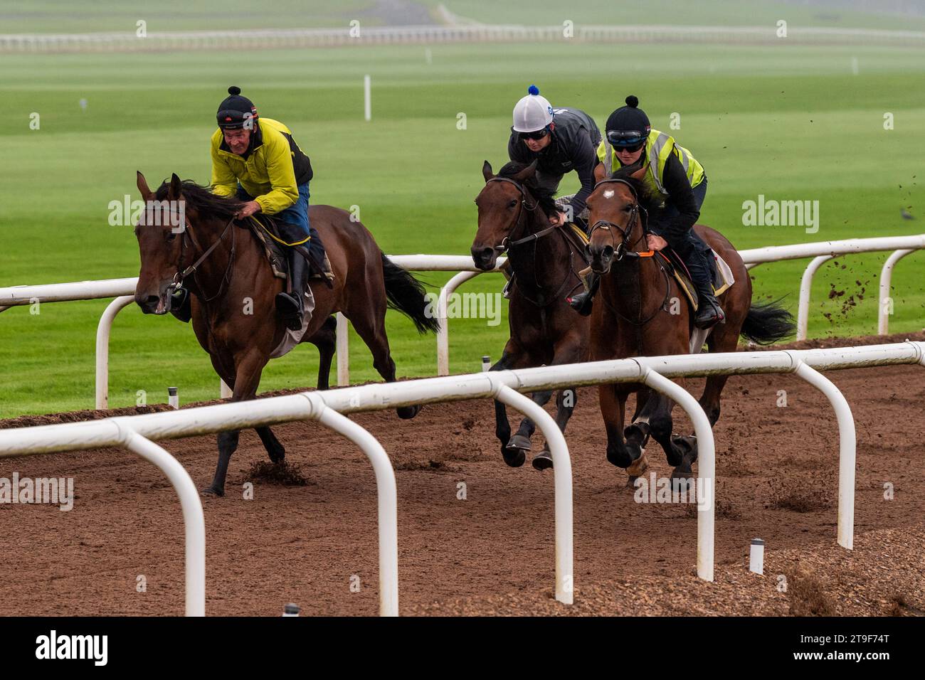 Bermingham Cameras a sponsorisé les chevaux Harty Racing qui s'entraînent au galop de Curragh, Co. Kildare, Irlande. Banque D'Images
