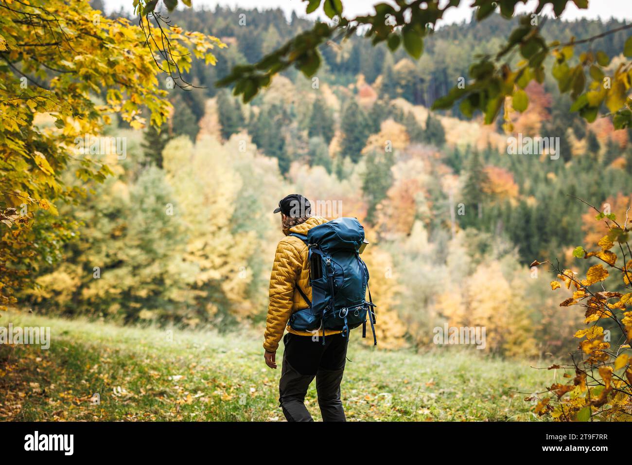 Homme de tourisme avec le trekking de sac à dos dans la forêt de montagne d'automne. Randonnée de la saison d'automne en plein air Banque D'Images