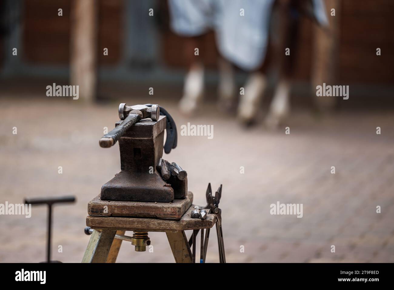 Outils Farrier sur l'enclume dans l'étable. Préparation pour mettre des fers à cheval sur le cheval Banque D'Images