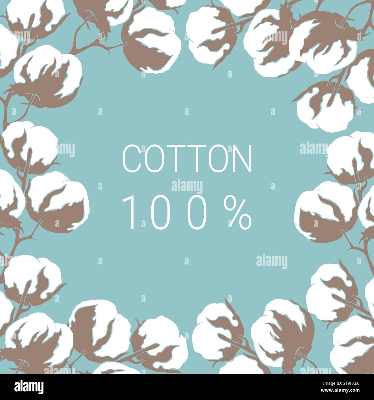Bannière avec cadre de branche de fleurs de coton dessiné à la main sur fond bleu. Coton 100 pour cent . Illustration vectorielle Illustration de Vecteur