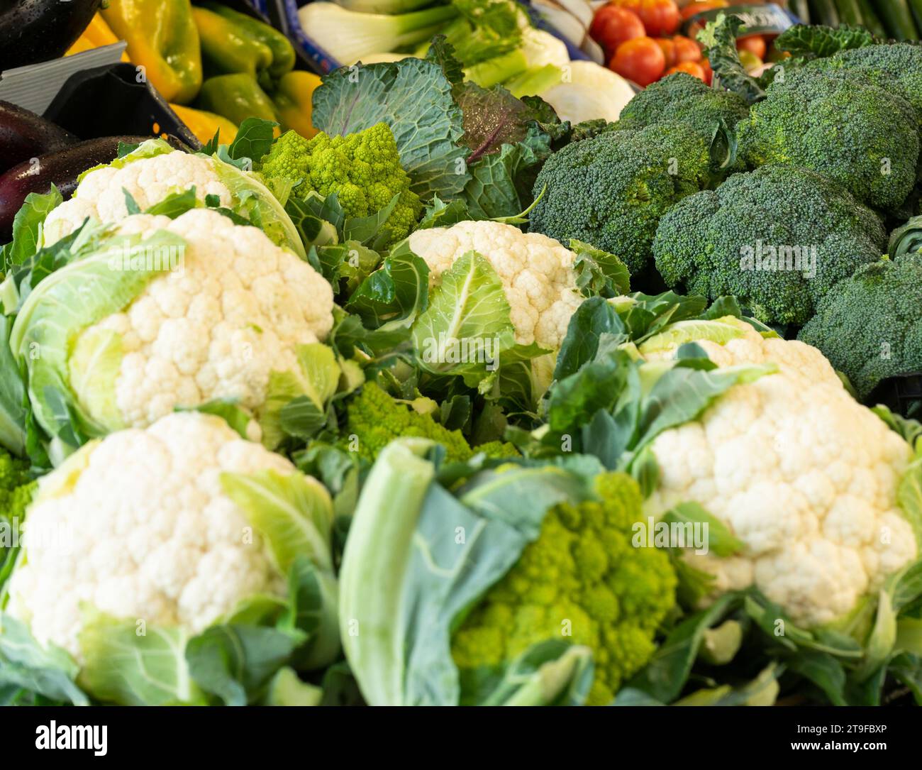 Une variété de légumes frais exposés sur un marché sur une place de la vieille ville. Mise au point sélective Banque D'Images