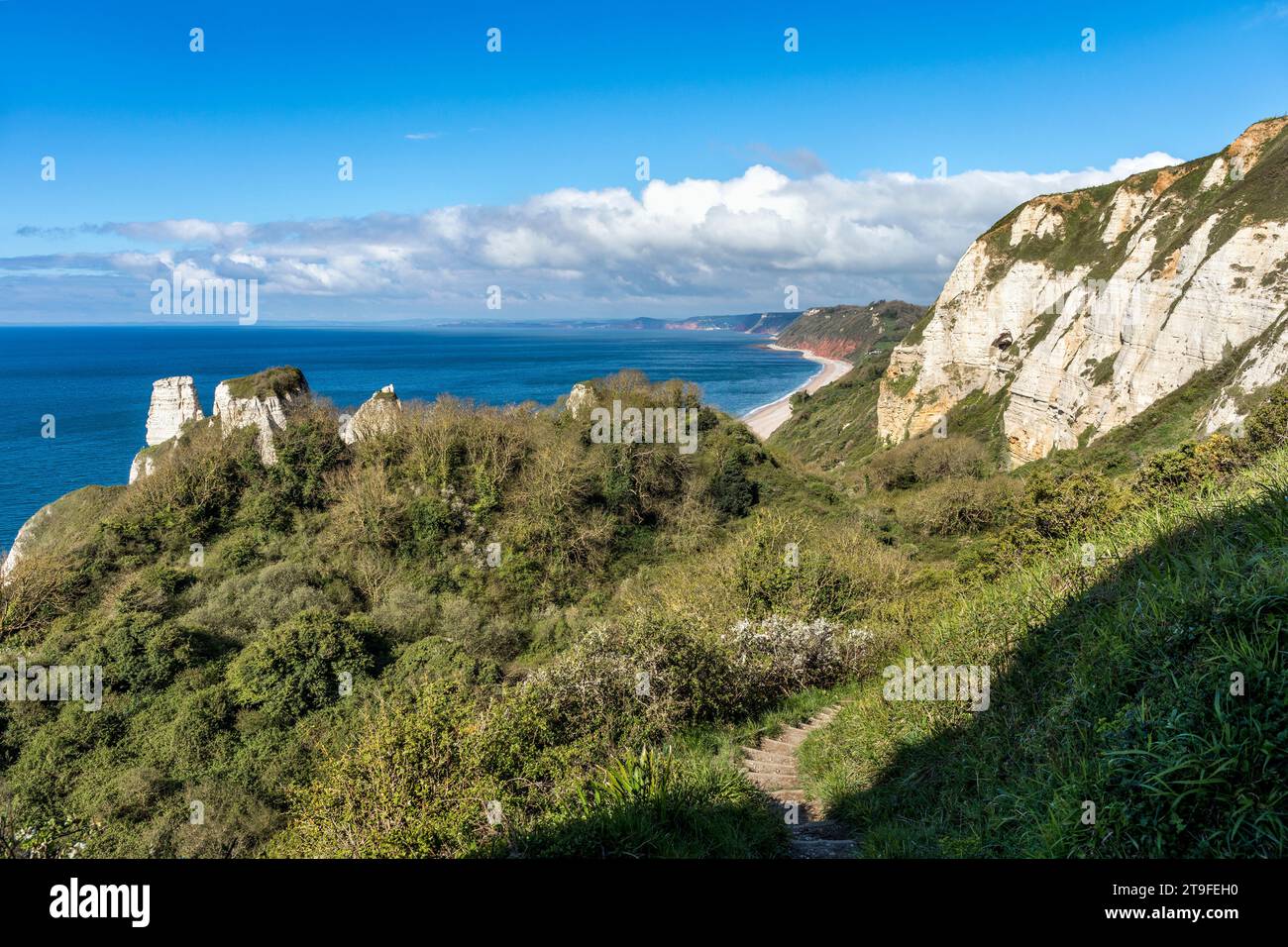 Branscombe ; Hooken Cliffs ; Devon ; Royaume-Uni Banque D'Images