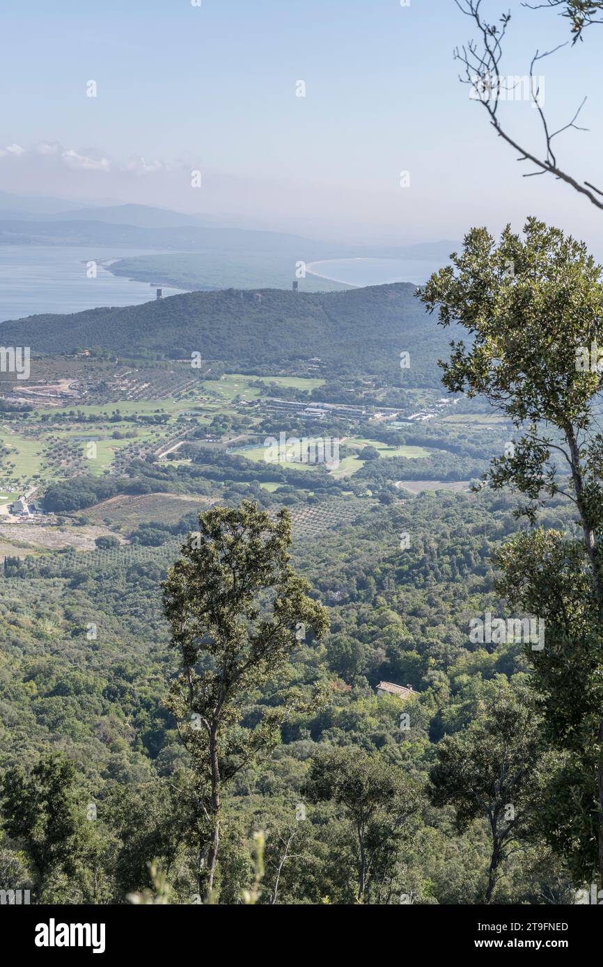 Paysage aérien avec terrain de golf et culture d'oliviers sur la rive du lagon, tourné dans la lumière brillante du début de l'automne à Orbetello, Monte Argentario, Toscane Banque D'Images