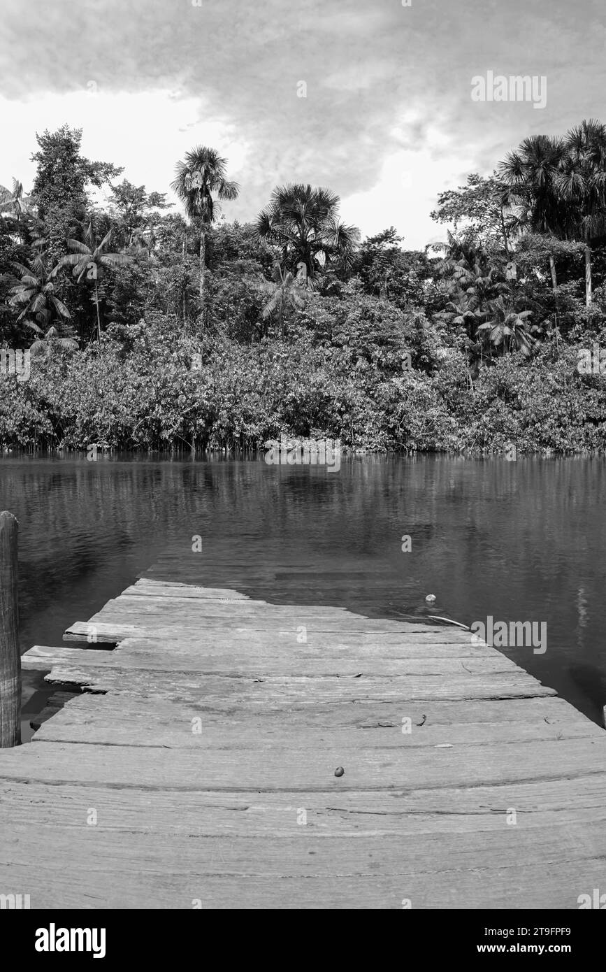 Embarcadère dans la rivière Acarouany, Guyane française Banque D'Images