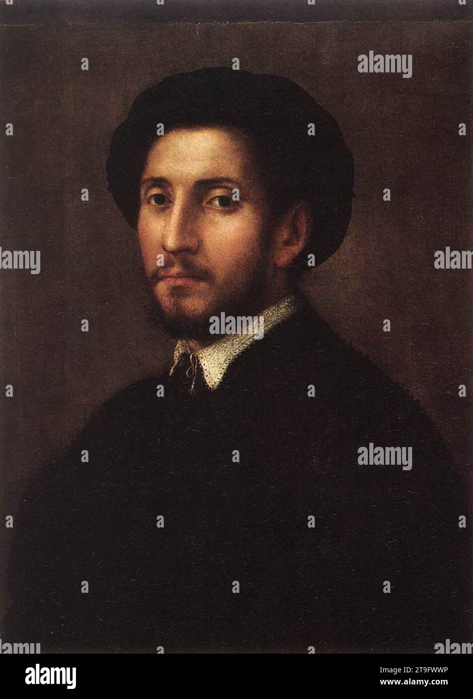 Portrait d'un homme des années 1530 par Pier Francesco Foschi Banque D'Images