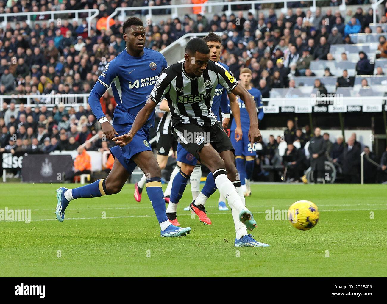 Newcastle upon Tyne, Royaume-Uni. 25 novembre 2023. Alexander Isak de Newcastle United tire pour marquer contre Chelsea lors du match de Premier League à St. James' Park, Newcastle upon Tyne. Le crédit photo devrait être : Nigel Roddis/Sportimage crédit : Sportimage Ltd/Alamy Live News Banque D'Images