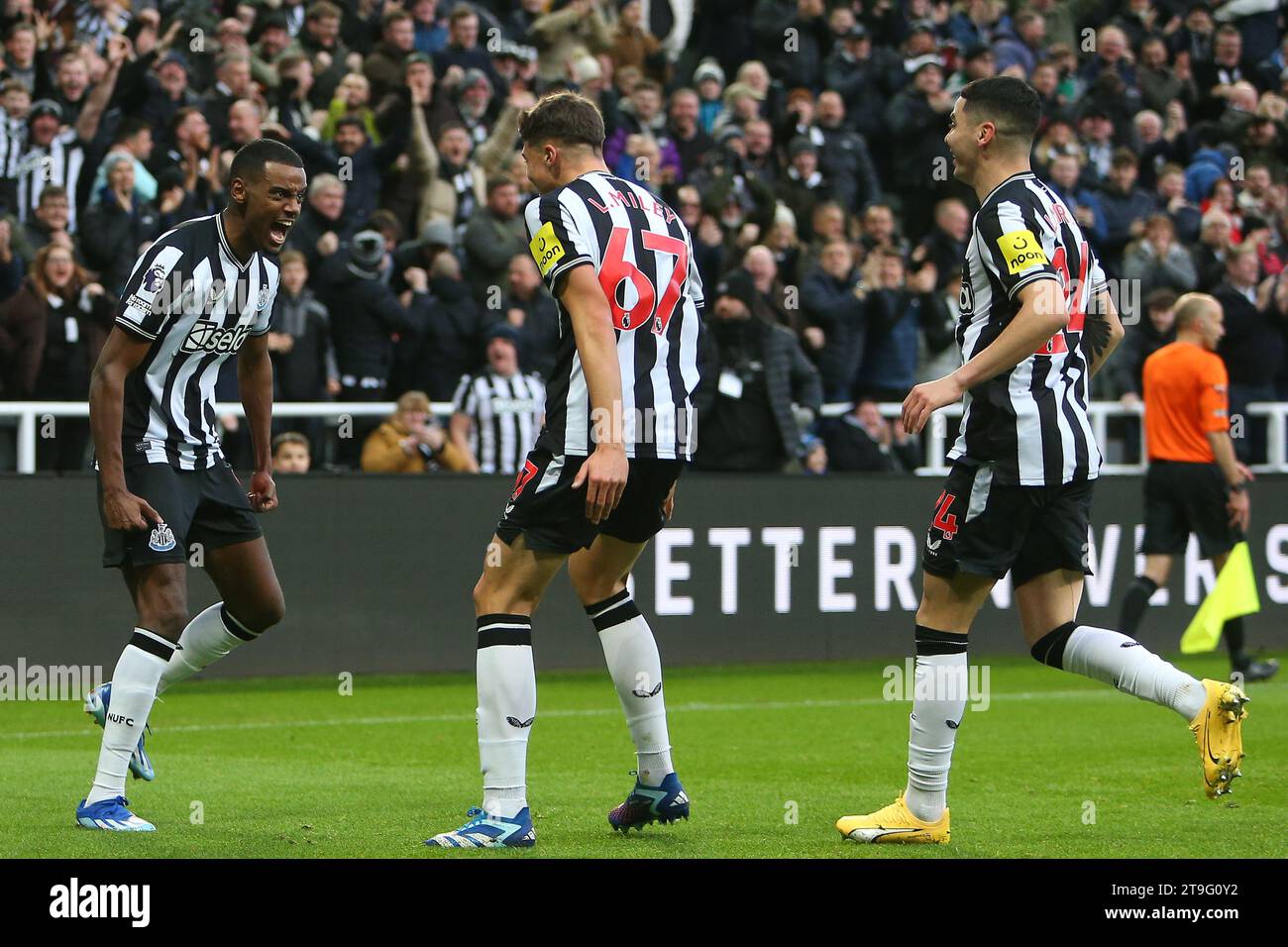 Alexander Isak de Newcastle United célèbre son but lors du match de Premier League entre Newcastle United et Chelsea à St. James's Park, Newcastle le samedi 25 novembre 2023. (Photo : Michael Driver | MI News) crédit : MI News & Sport / Alamy Live News Banque D'Images