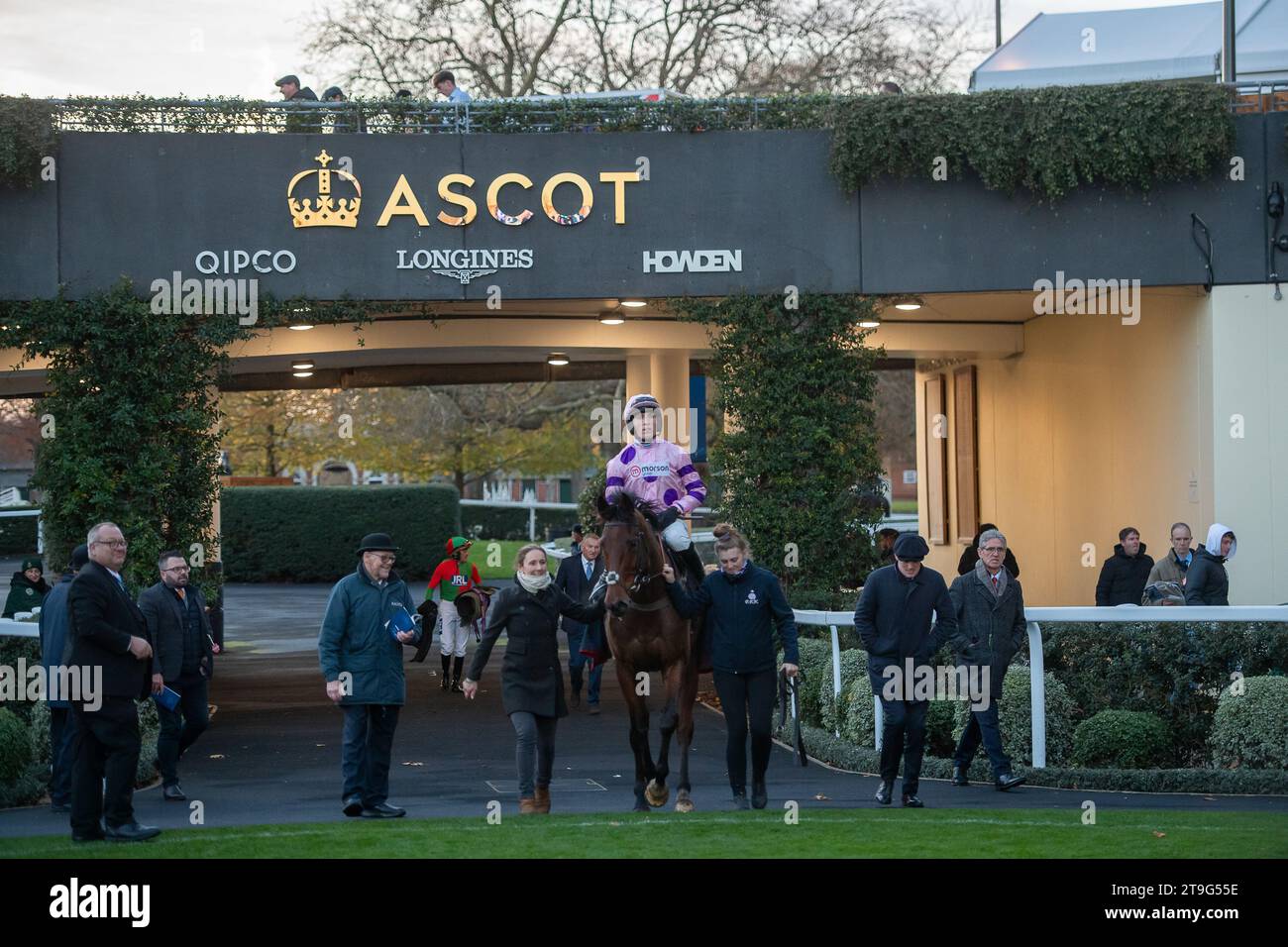 Ascot, Berkshire, Royaume-Uni. 25 novembre 2023. Horse Regent’s Stroll piloté par le jockey Harry Cobden (soies roses) remporte la Nirvana Spa Open National Hunt Flat Race lors du November Racing Saturday Meeting à l’hippodrome d’Ascot. Il s’agissait de la quatrième victoire de la journée pour le jockey Harry Cobden et l’entraîneur Paul Nicholls. Propriétaire Chris Giles. Entraîneur Paul Nicholls. Éleveuse Rita Kent. Sponsor Morton Group. Crédit : Maureen McLean/Alamy Live News Banque D'Images