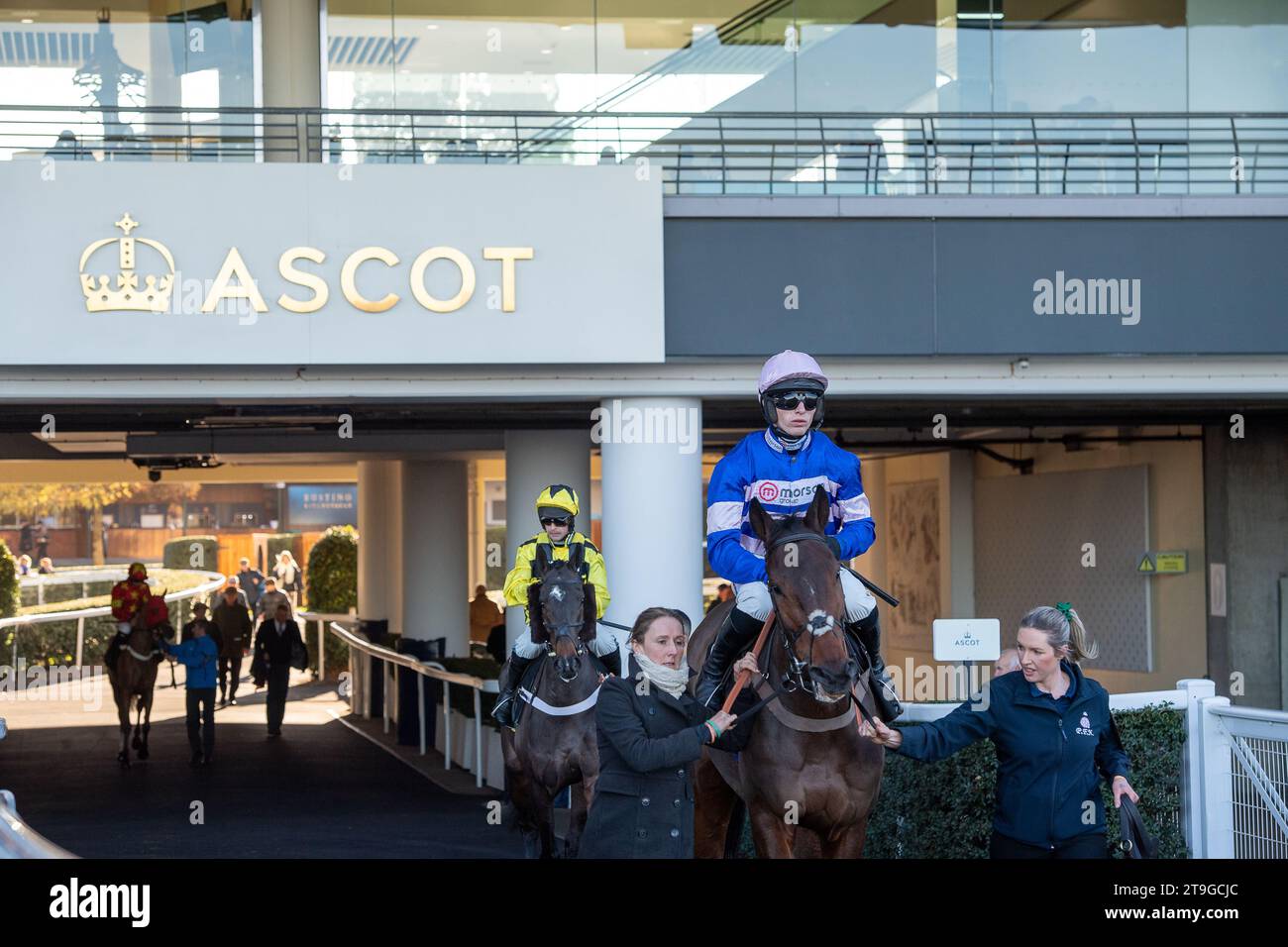 Ascot, Berkshire, Royaume-Uni. 25h novembre 2023. Horse pic d’Orhy monté par le jockey Harry Cobden se dirige vers l’hippodrome avant de remporter le Nirvana Spa 1965 Steeple Chase lors du November Racing Saturday Meeting à l’hippodrome d’Ascot. Propriétaire Mme Johnny de la Hey. Entraîneur Paul Nicholls, Ditcheat. Éleveur J Contour Career & y Broca. Sponsor Morson Group. Crédit : Maureen McLean/Alamy Live News Banque D'Images